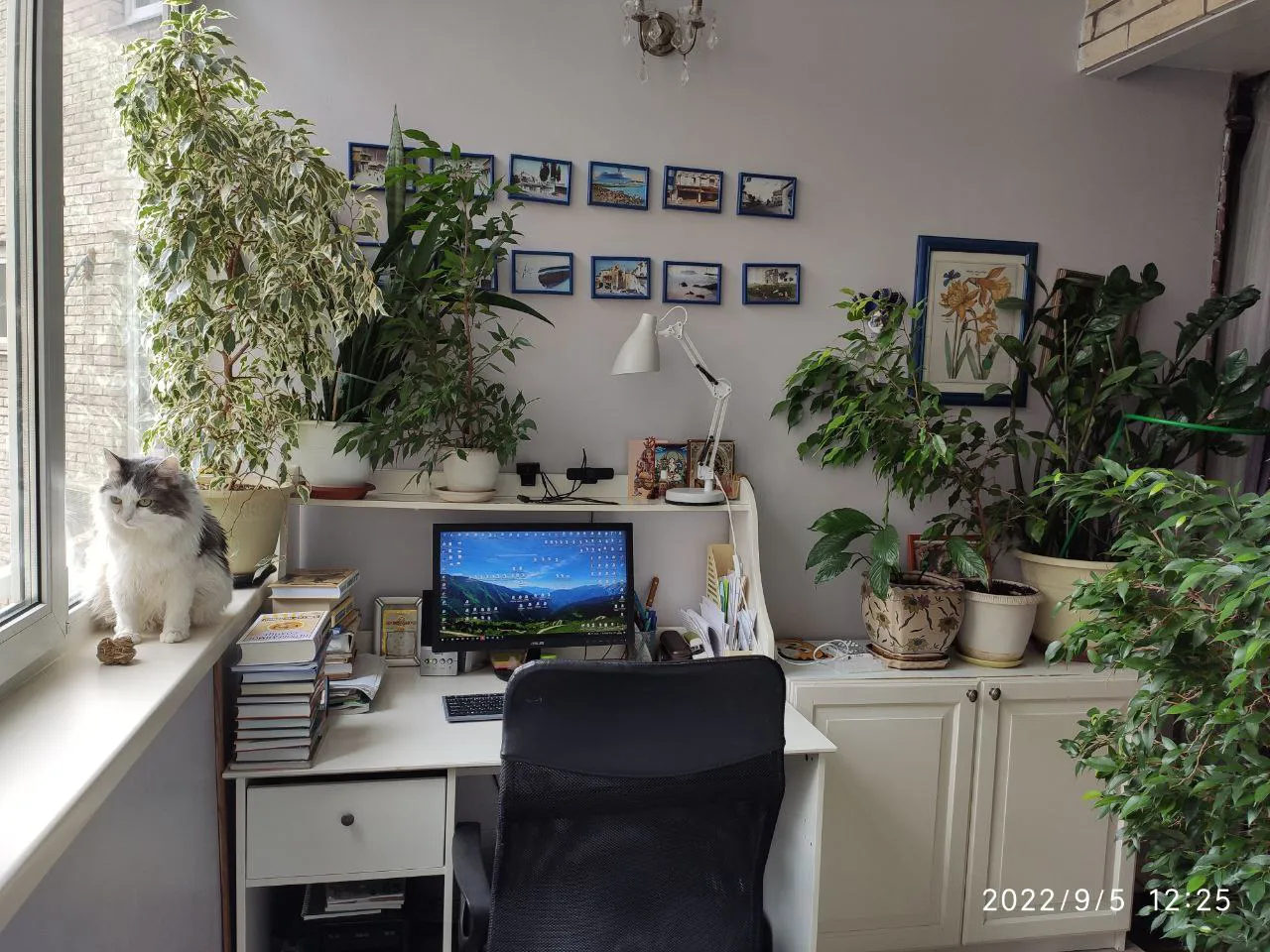 Уютная квартира с коллекциями, фото 19