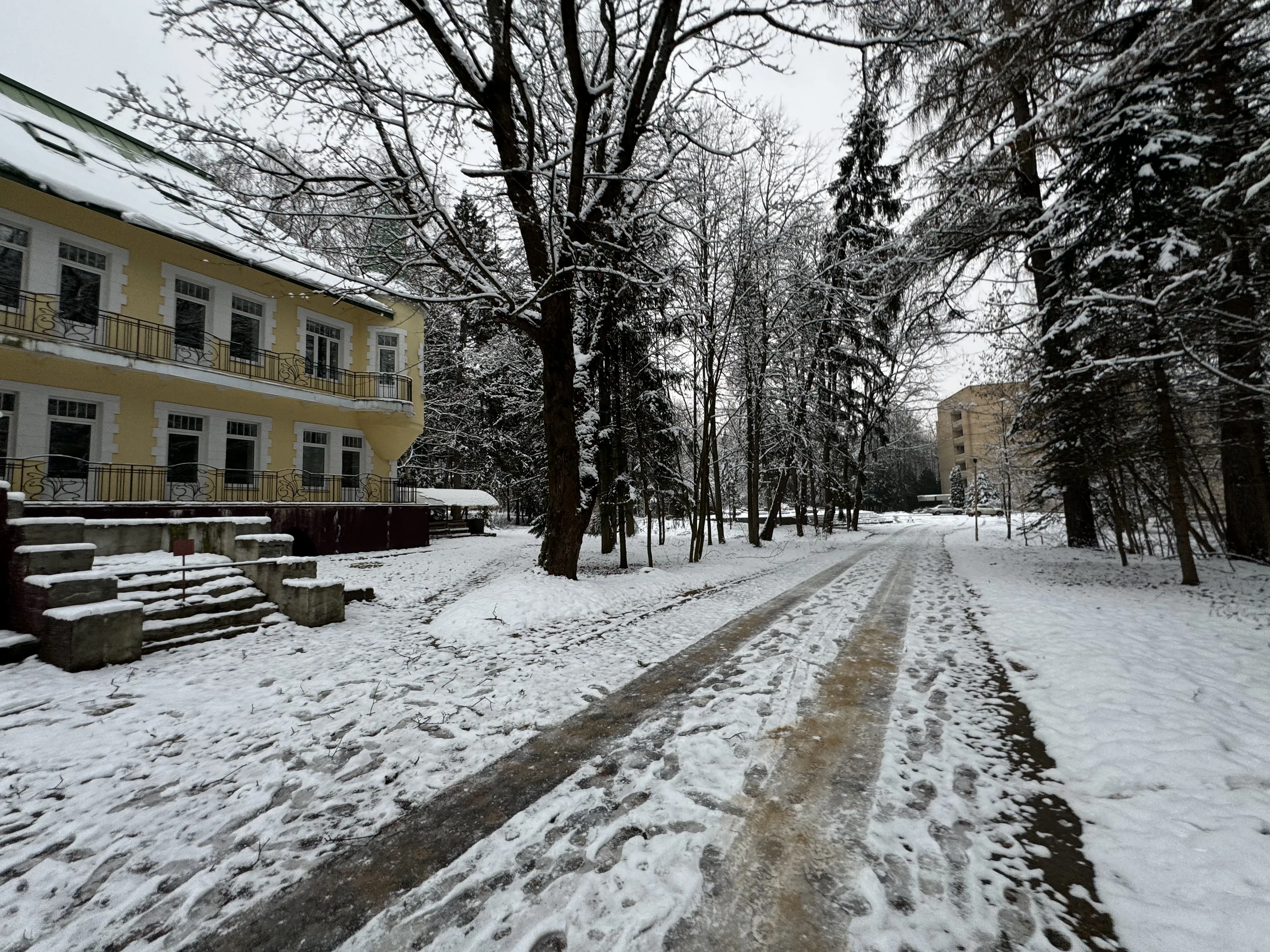 Зимняя лесная дорога, фото 24