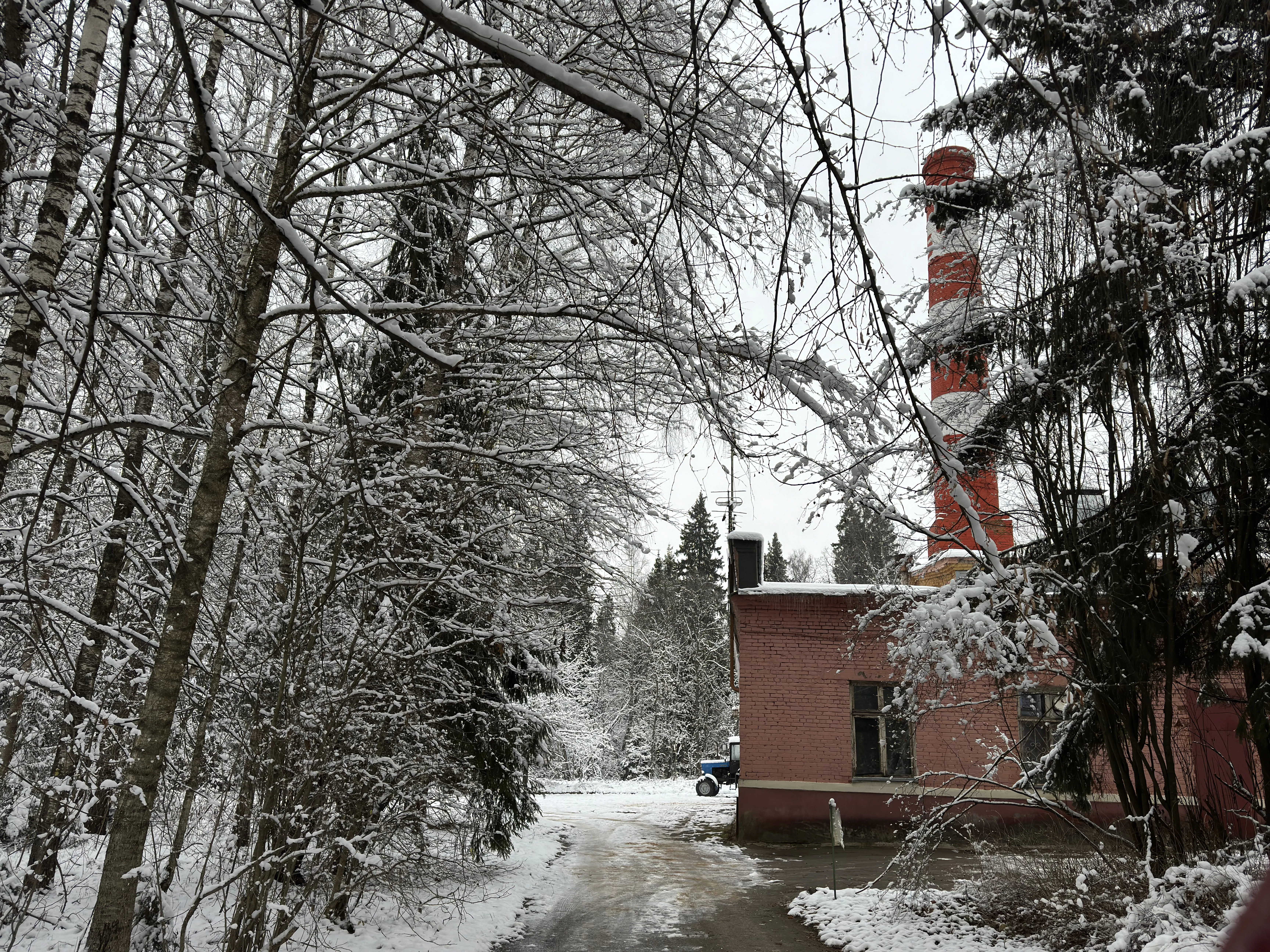 Зимняя лесная дорога, фото 12
