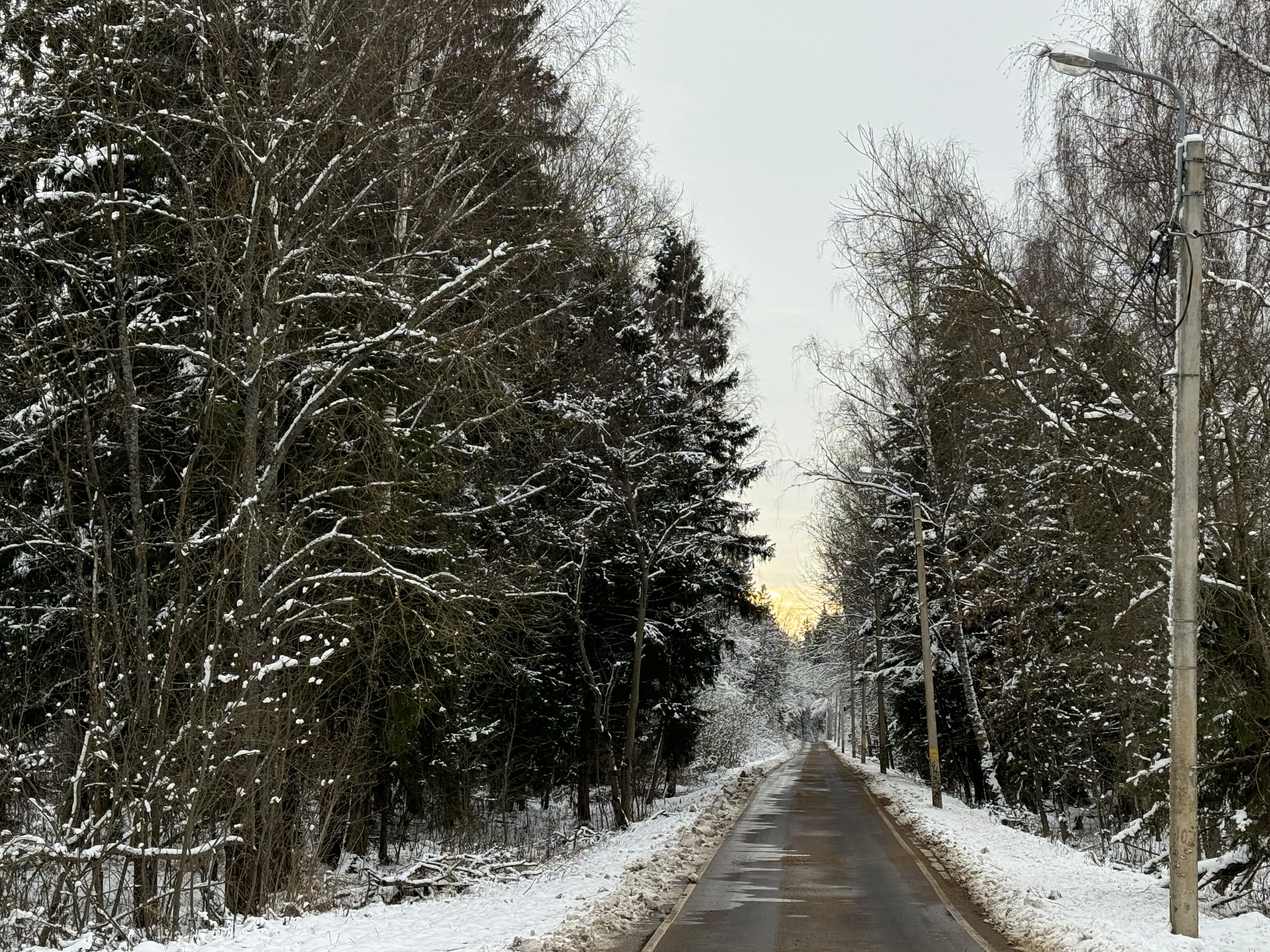 Зимняя лесная дорога, фото 1