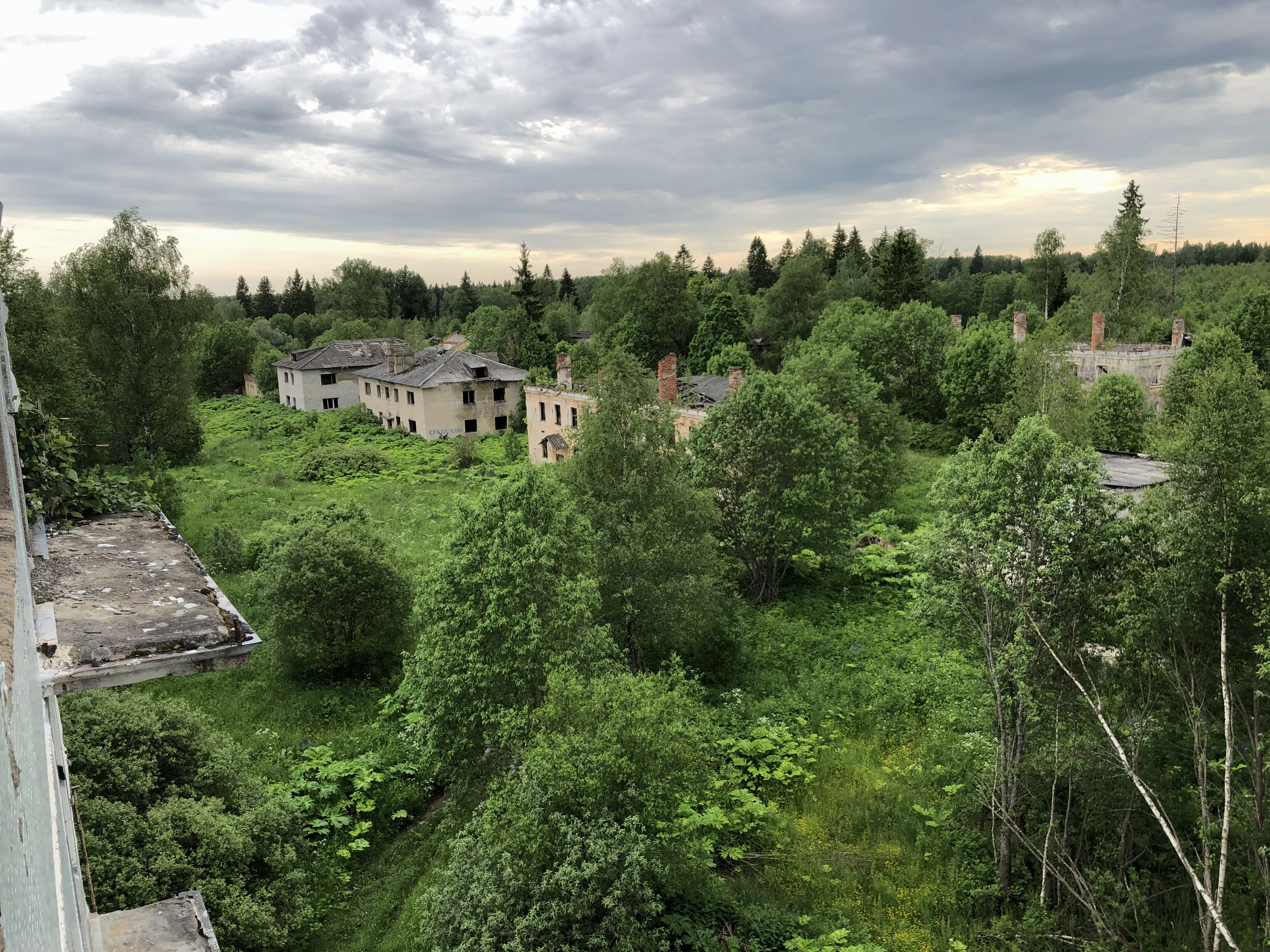 Заброшенная промзона у леса, фото 22