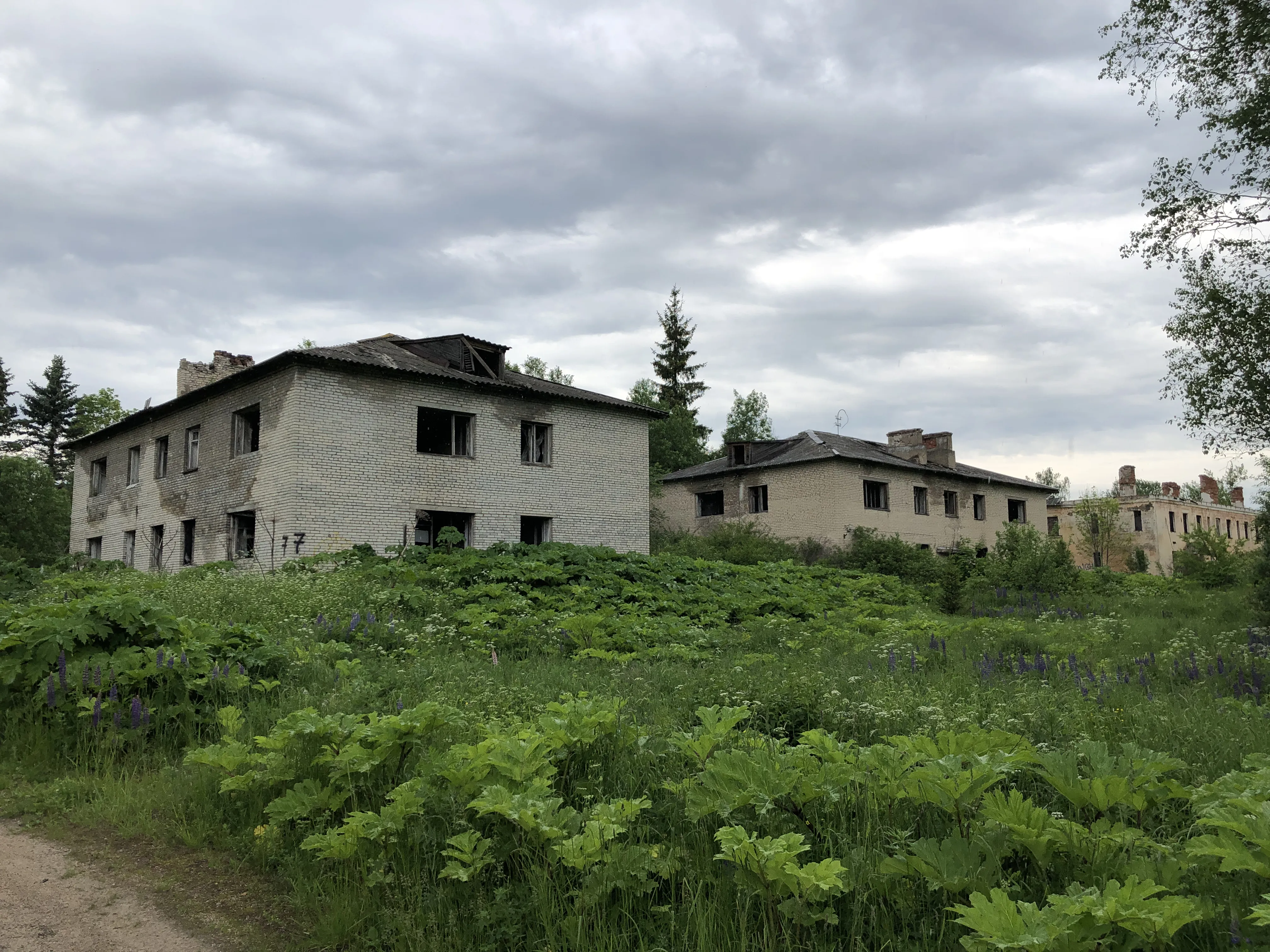 Заброшенная промзона у леса, фото 8