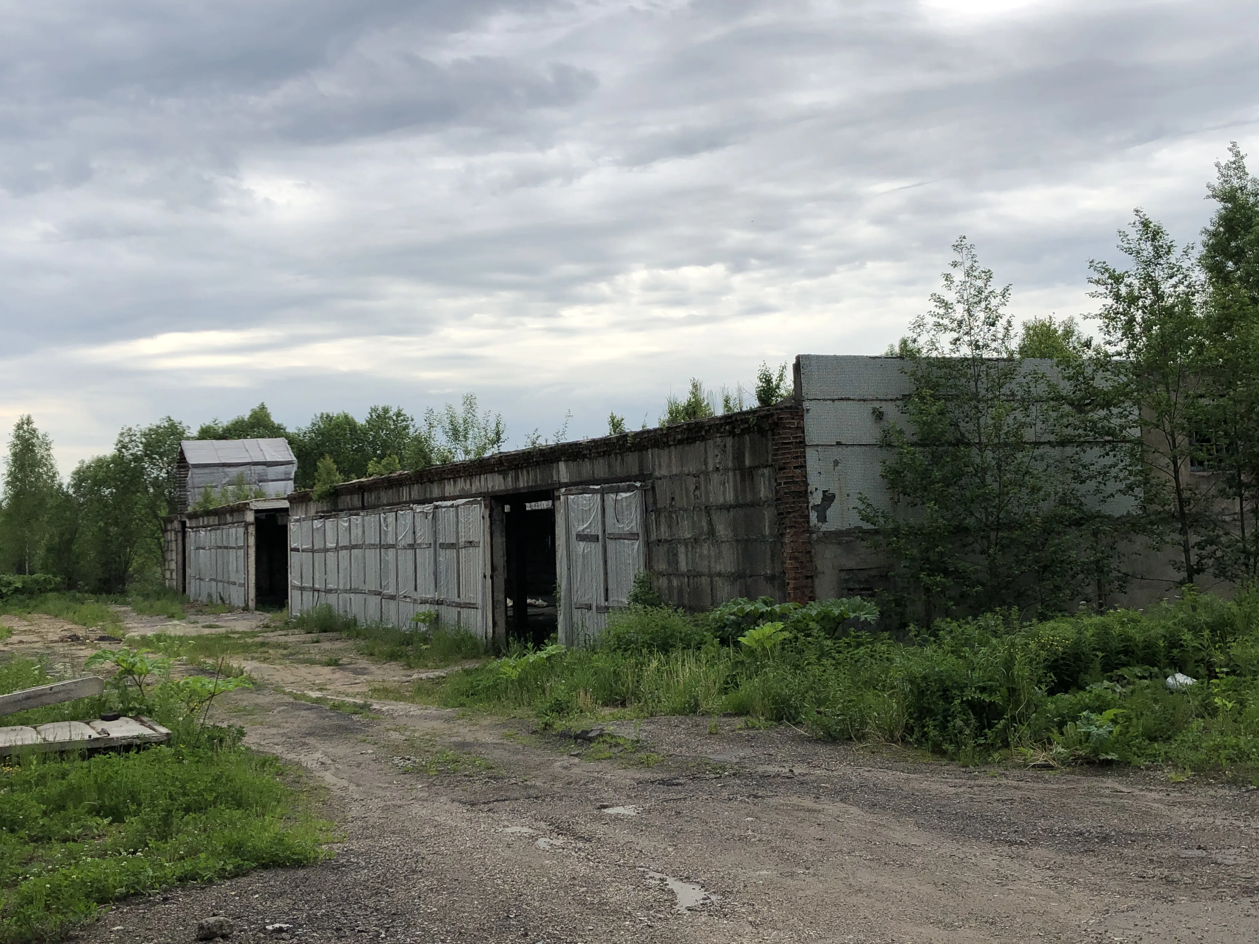 Заброшенная промзона у леса, фото 5