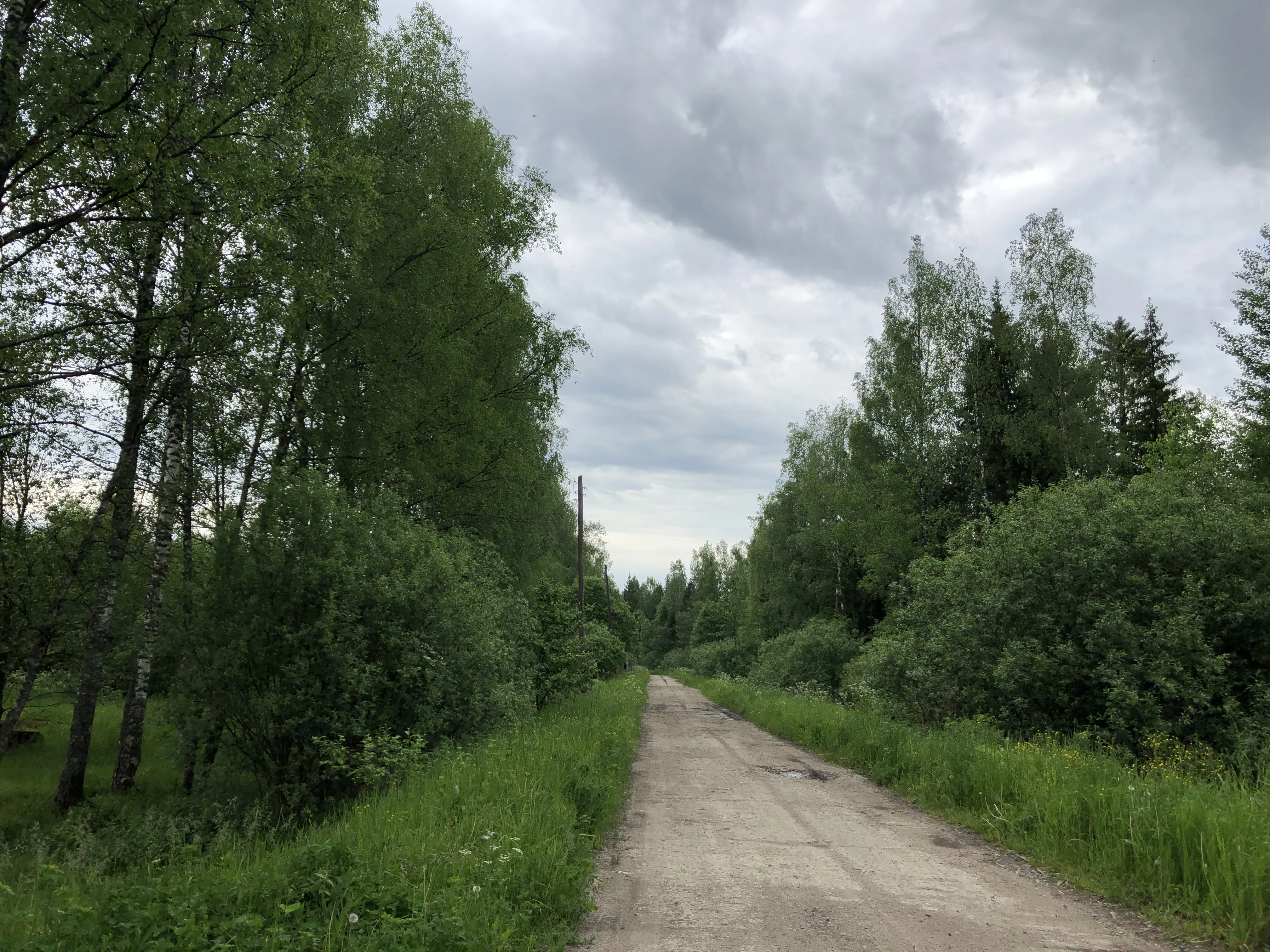 Заброшенная промзона у леса, фото 7