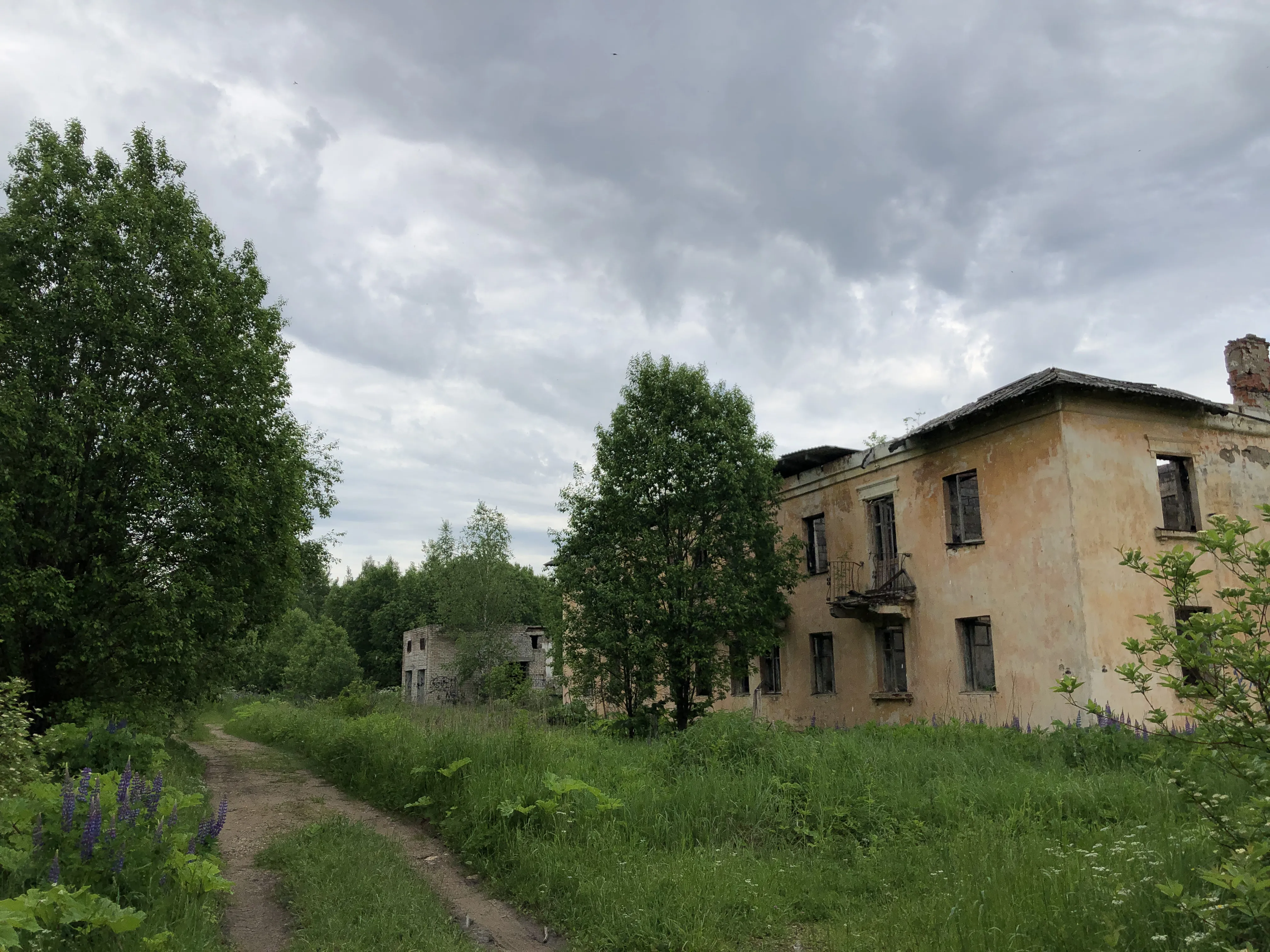 Заброшенная промзона у леса, фото 9