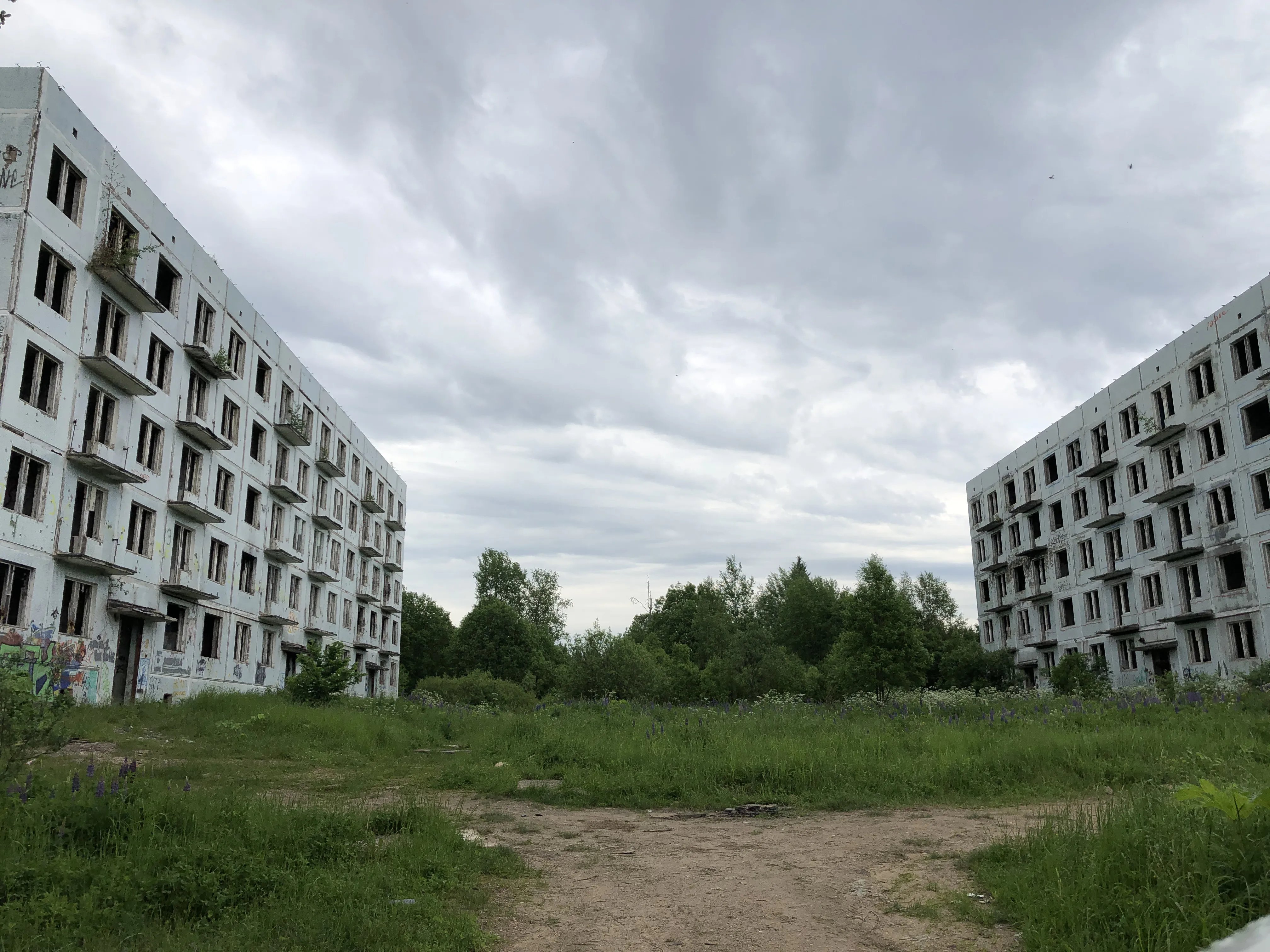 Заброшенная промзона у леса, фото 13