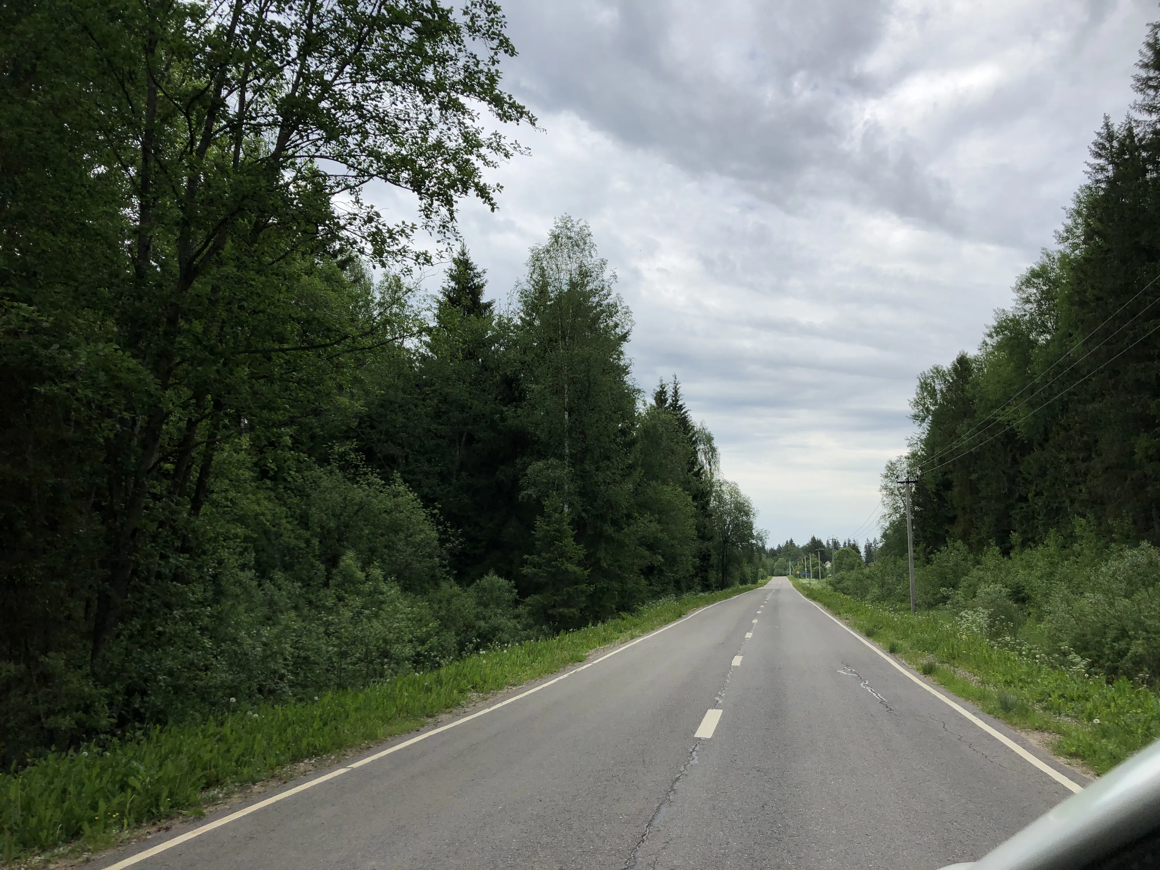 Заброшенная промзона у леса, фото 2
