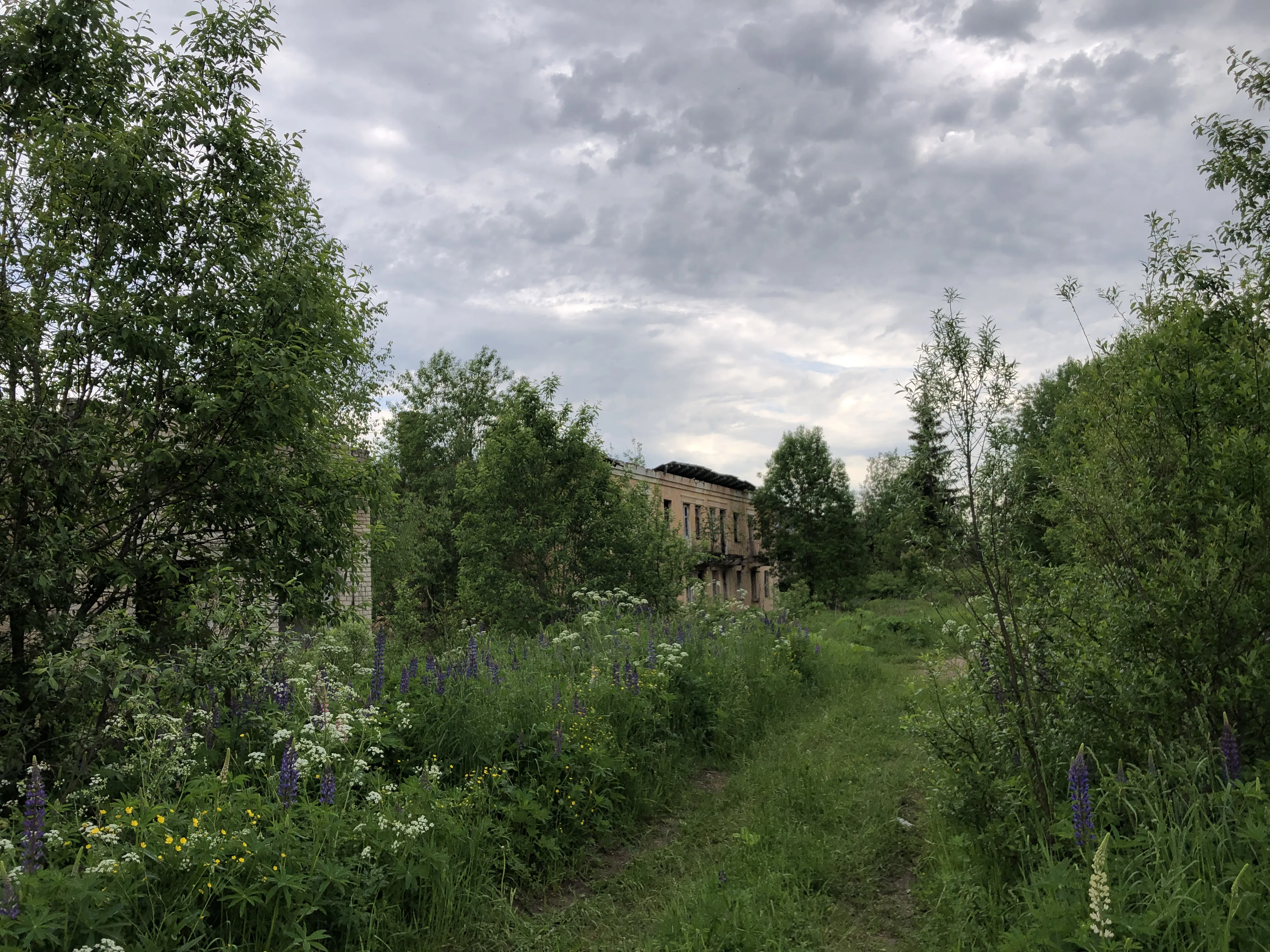 Заброшенная промзона у леса, фото 11