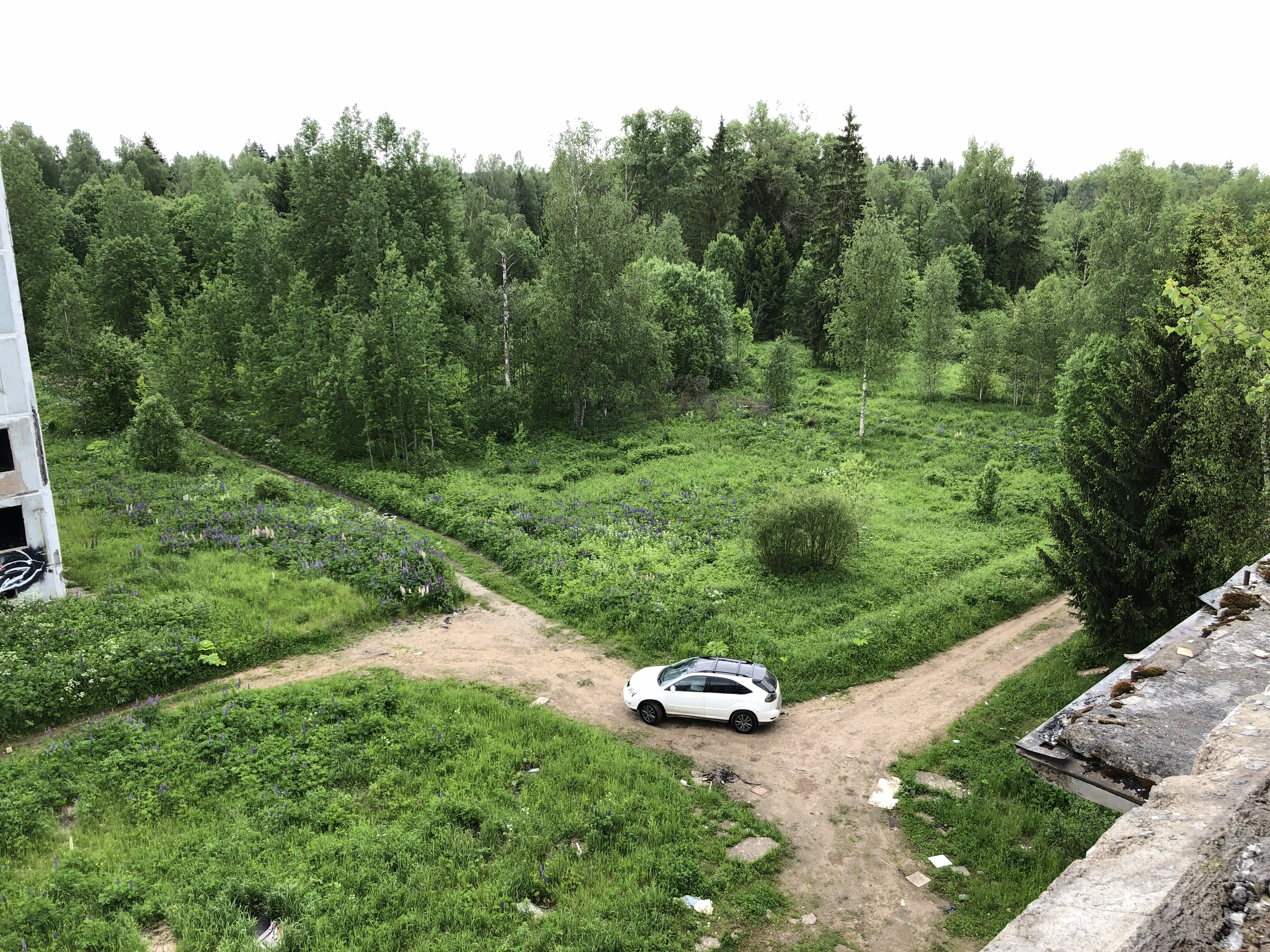 Заброшенная промзона у леса, фото 20