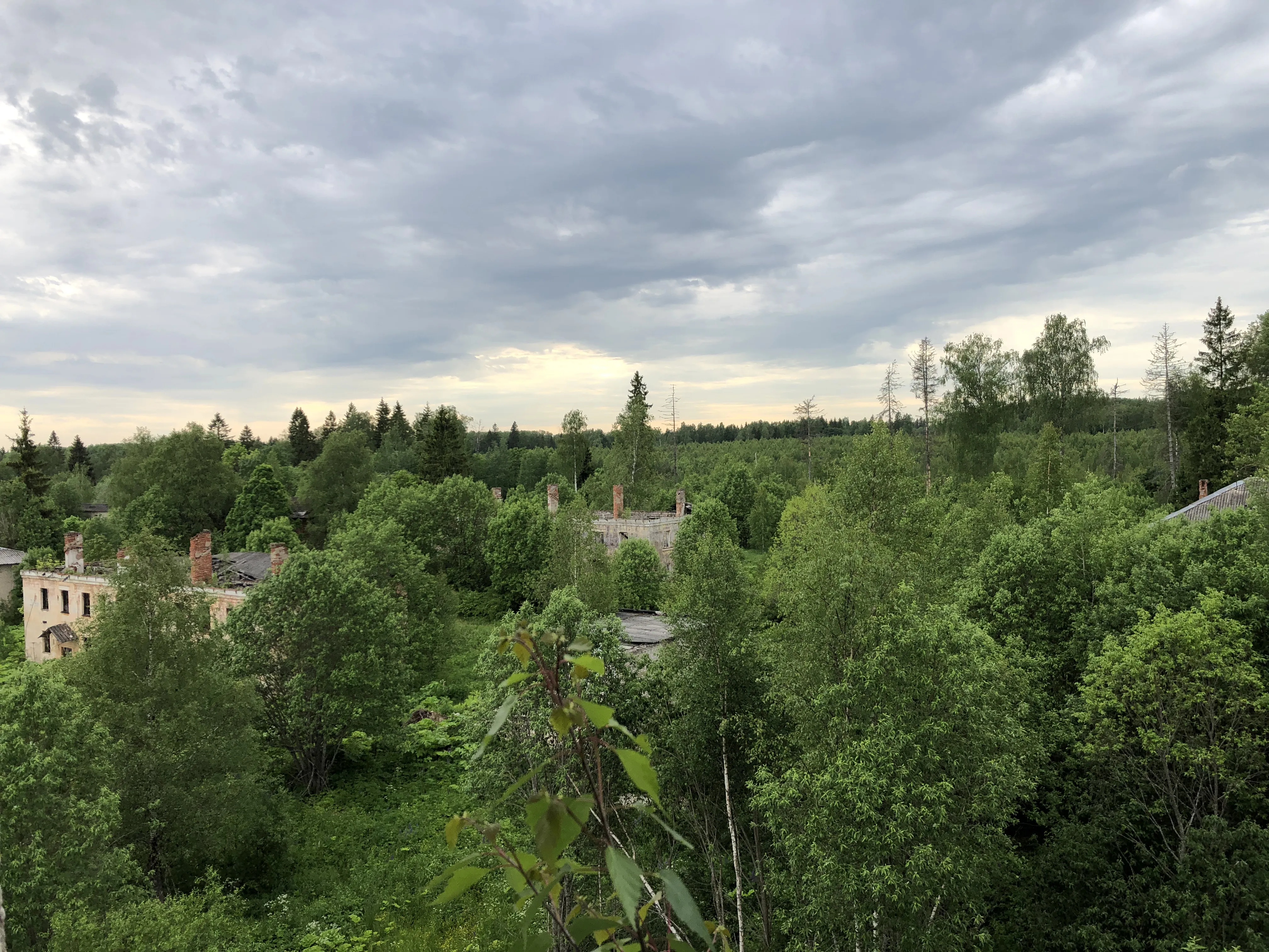 Заброшенная промзона у леса, фото 21