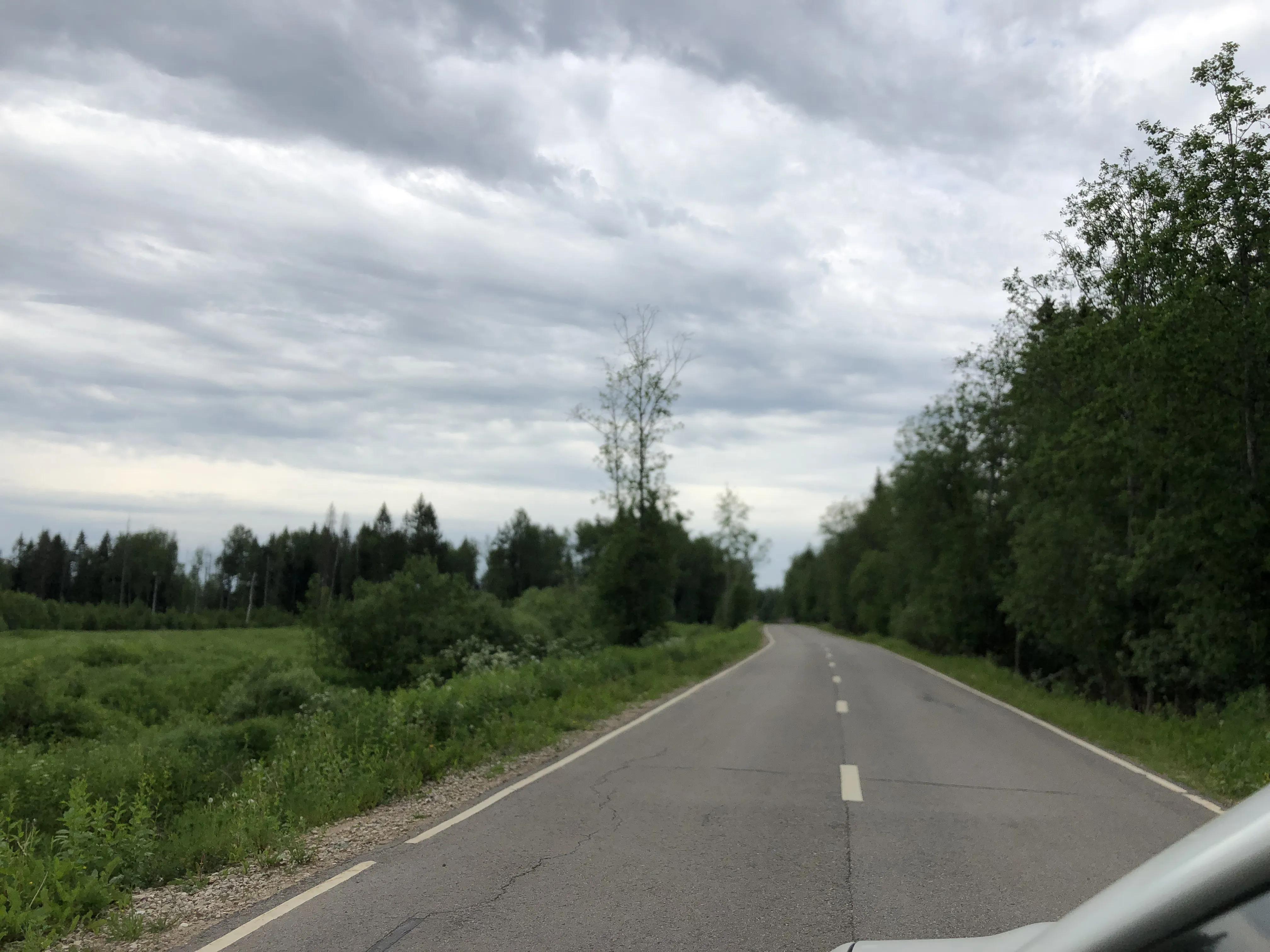 Заброшенная промзона у леса, фото 3