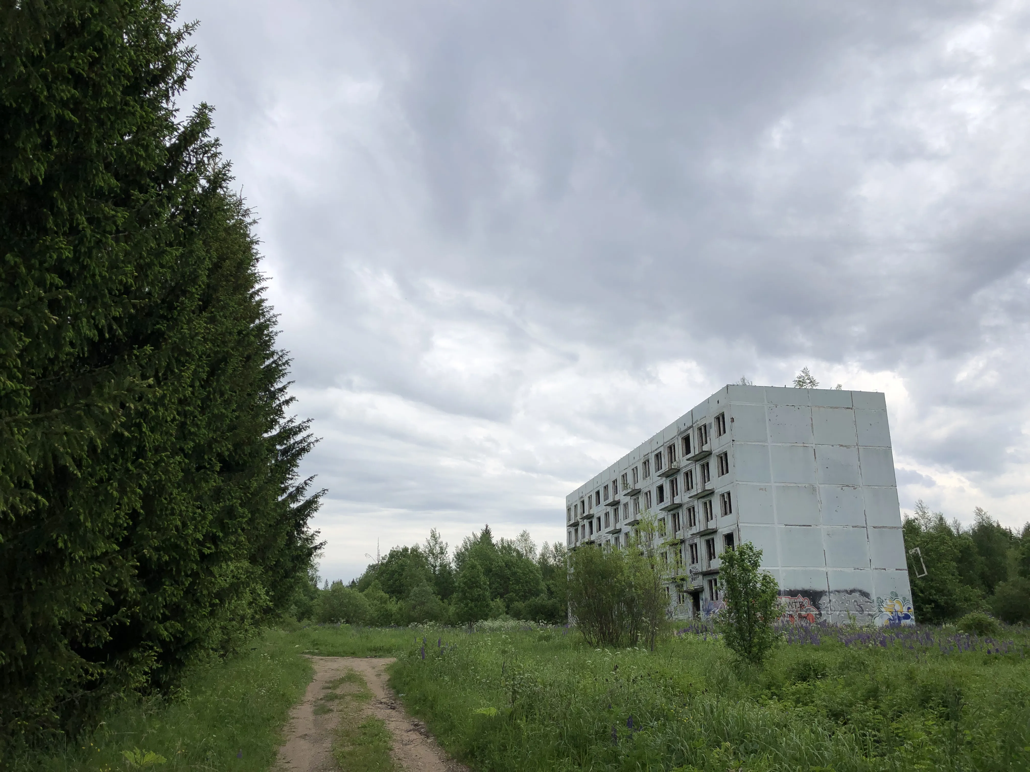 Заброшенная промзона у леса, фото 12