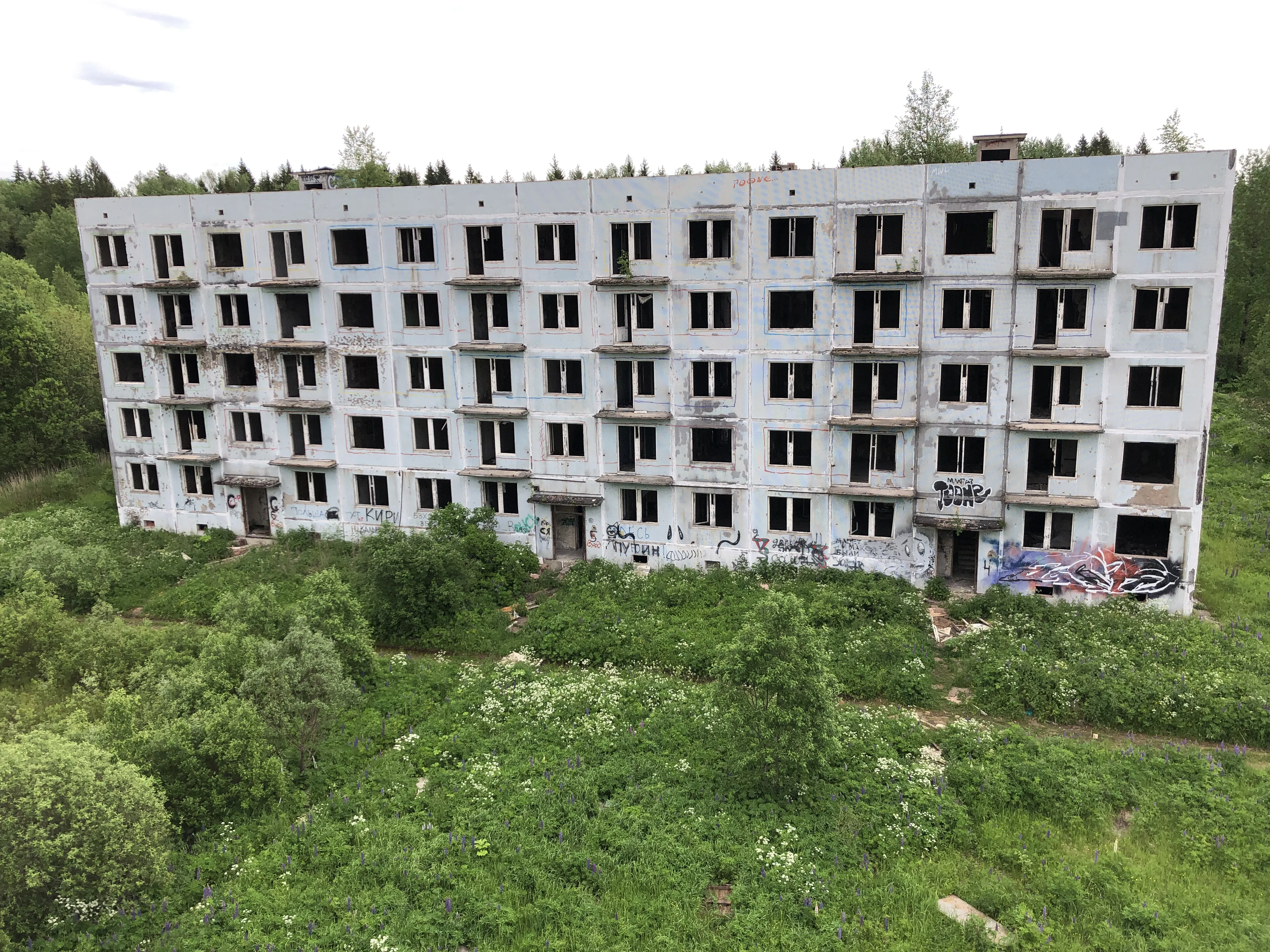 Заброшенная промзона у леса, фото 19