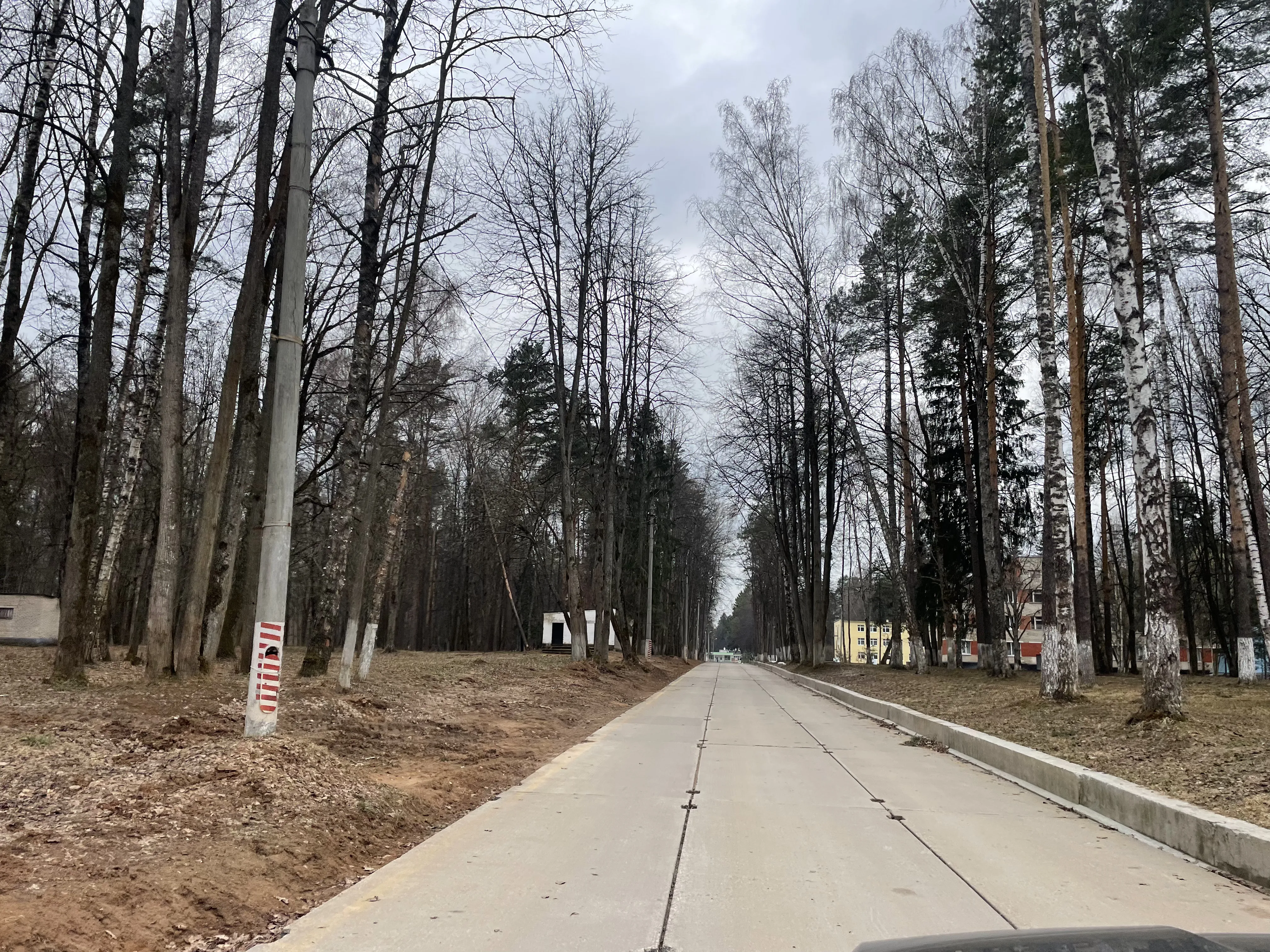 Заводской поселок в лесу, фото 2