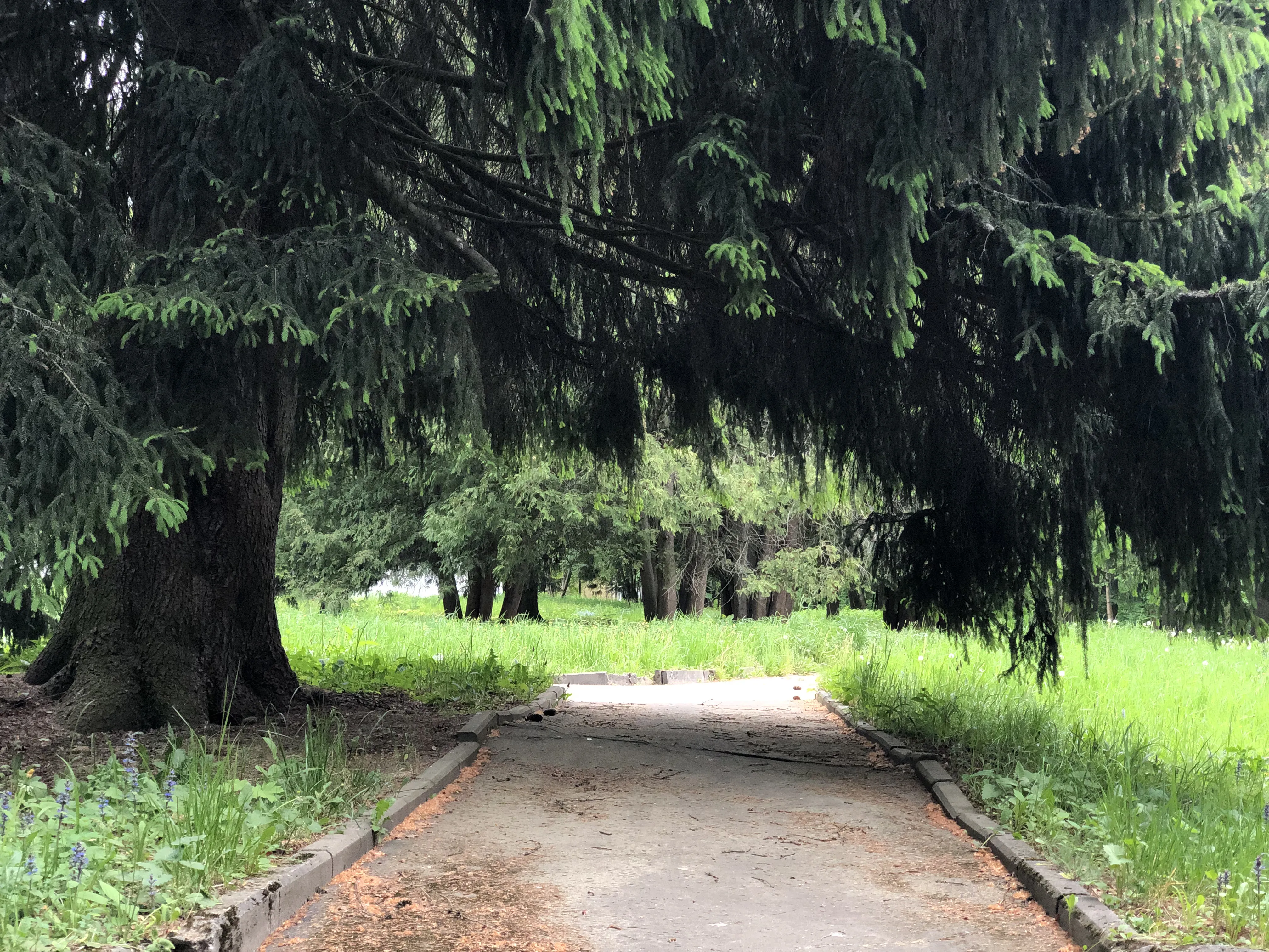 Старая усадьба в парке, фото 4
