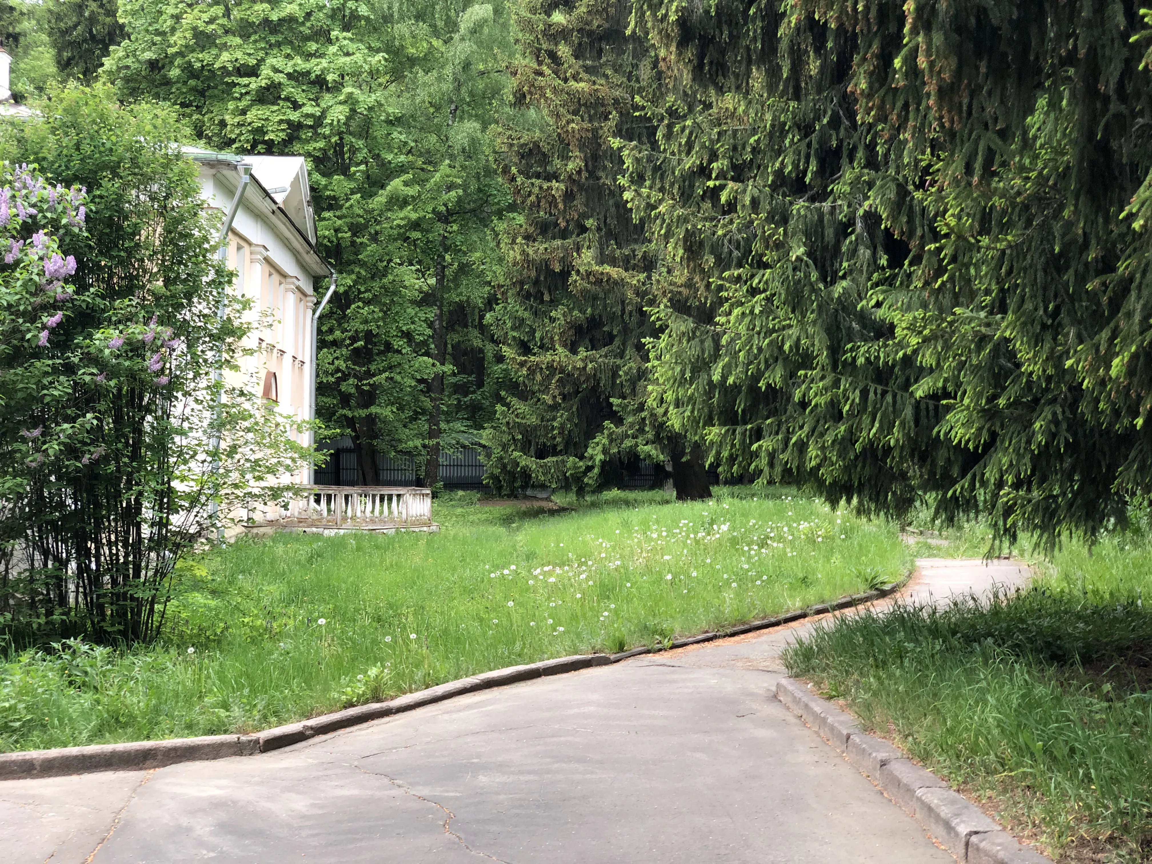 Старая усадьба в парке, фото 11