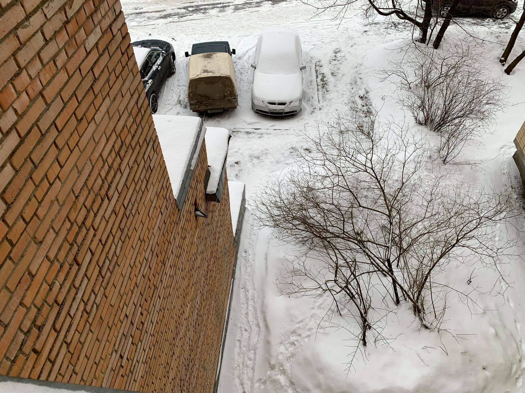 Квартира с темными стенами, фото 14