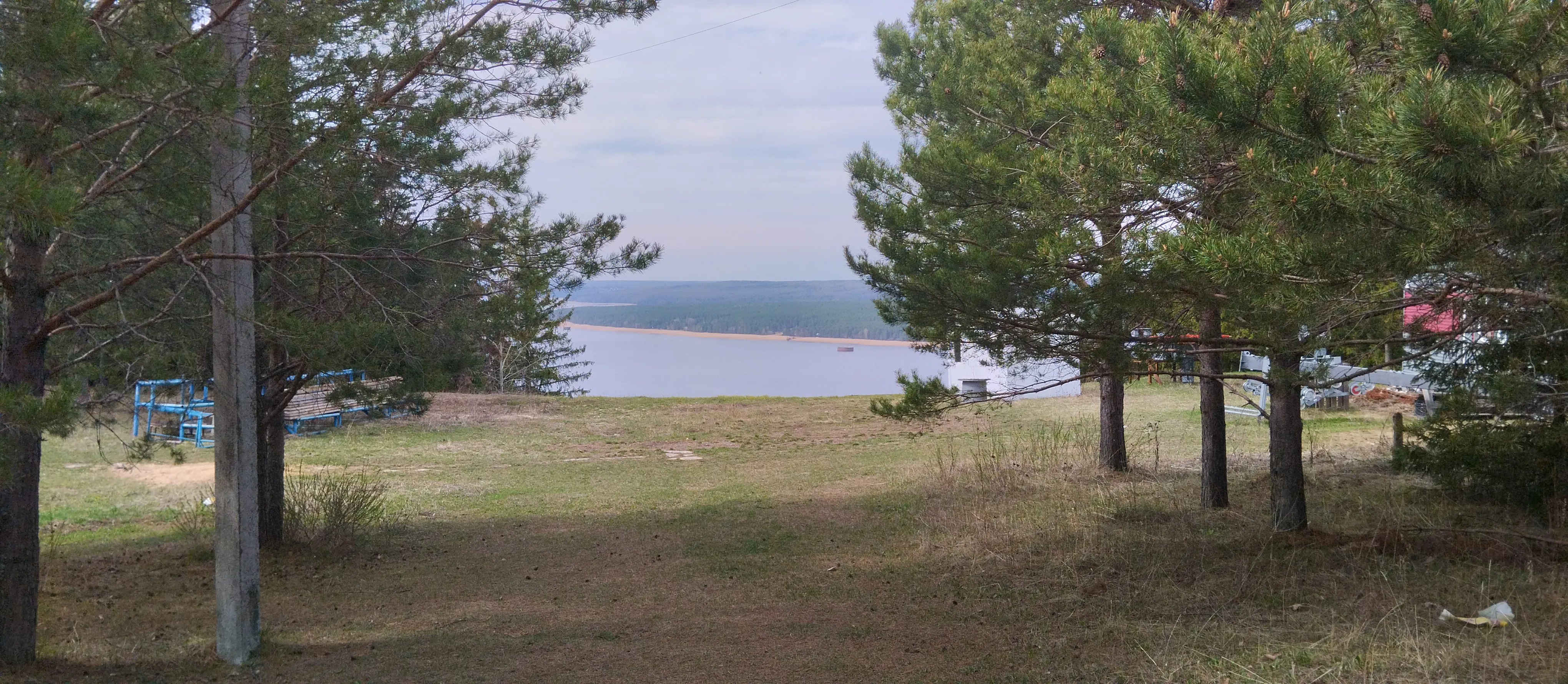 Панорама реки с соснами, фото 4