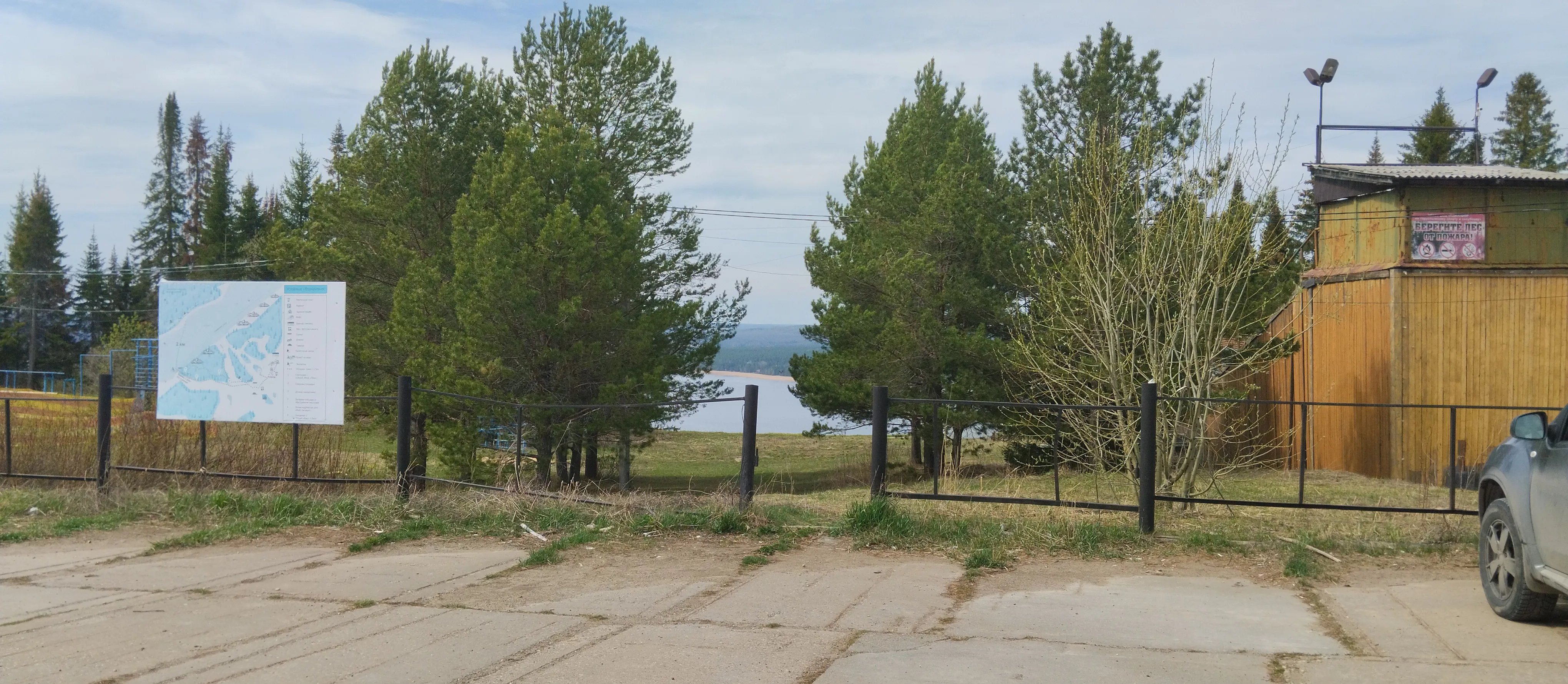 Панорама реки с соснами, фото 1