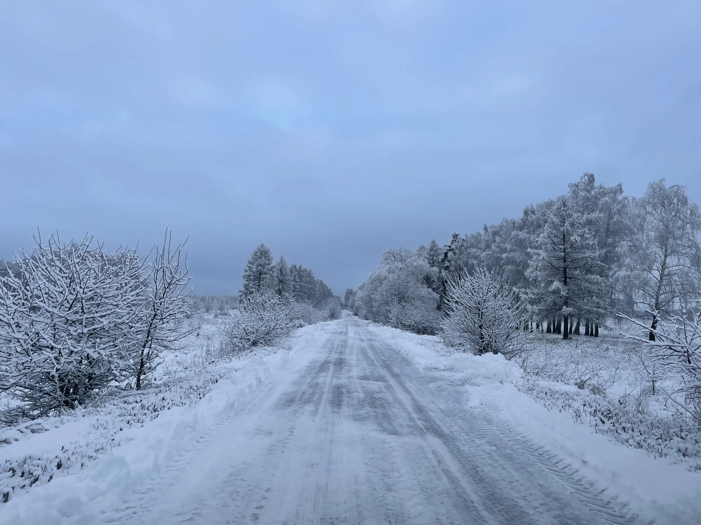Ресторан в загородном комплексе, фото 2
