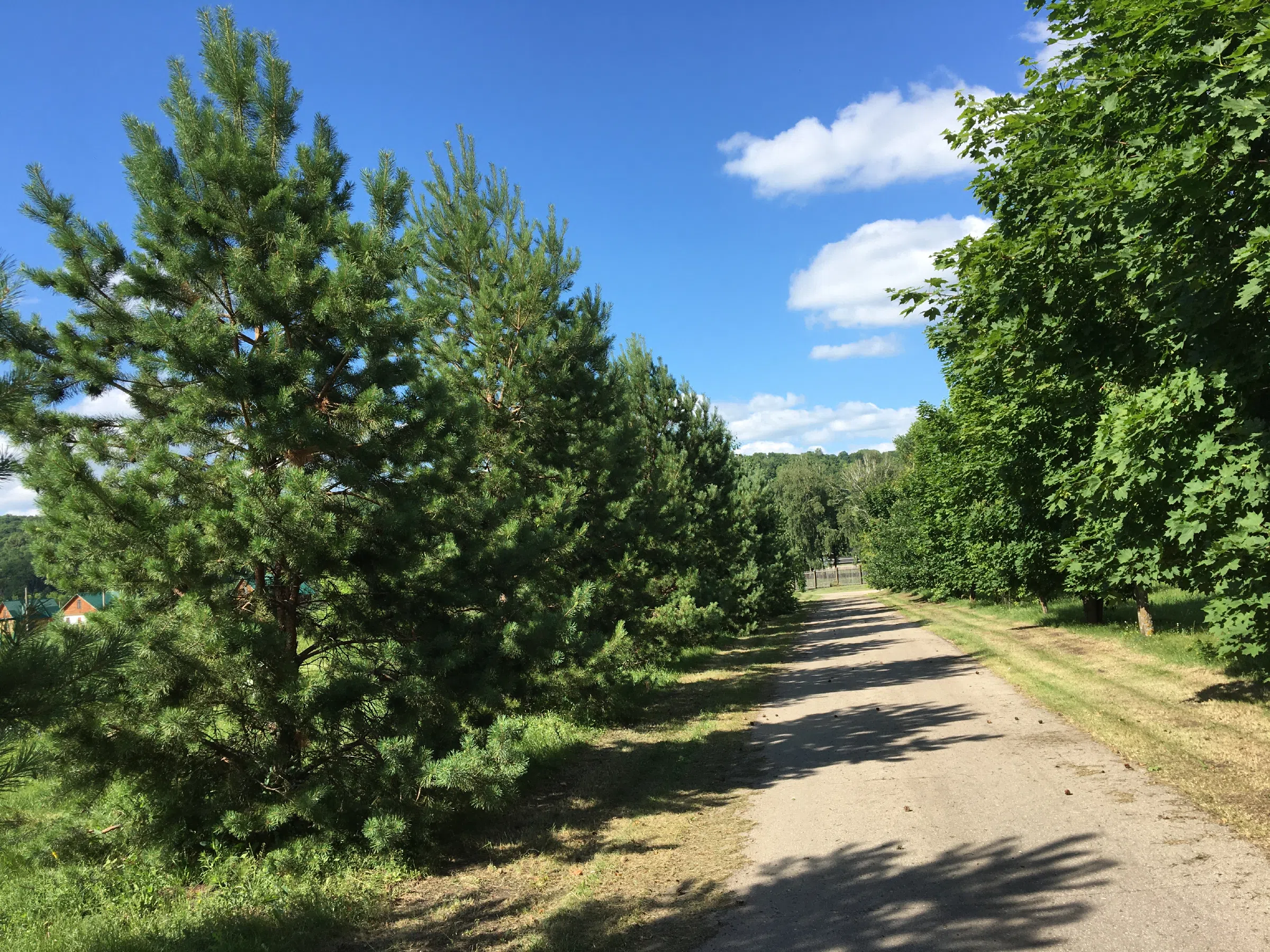 Рустик дом у реки, фото 16