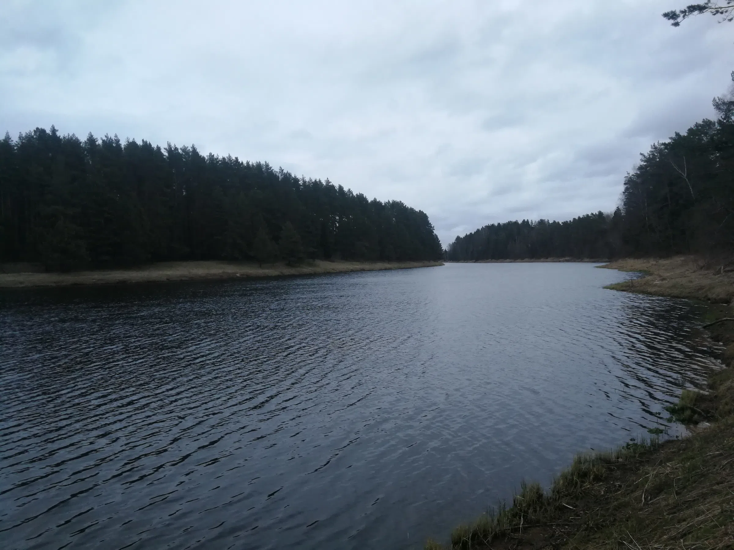 Лесное озеро, фото 2
