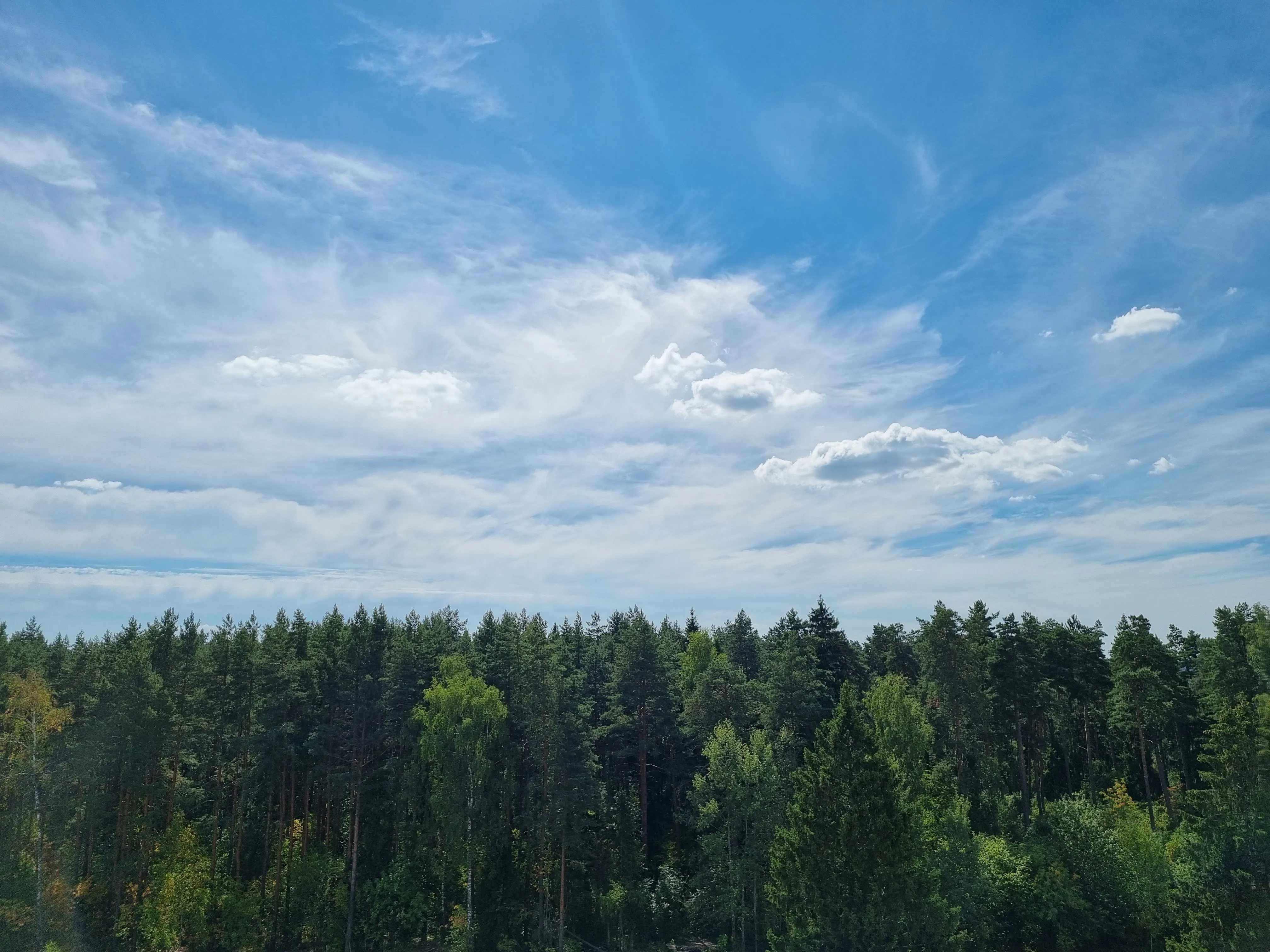Квартира с видом на лес, фото 10