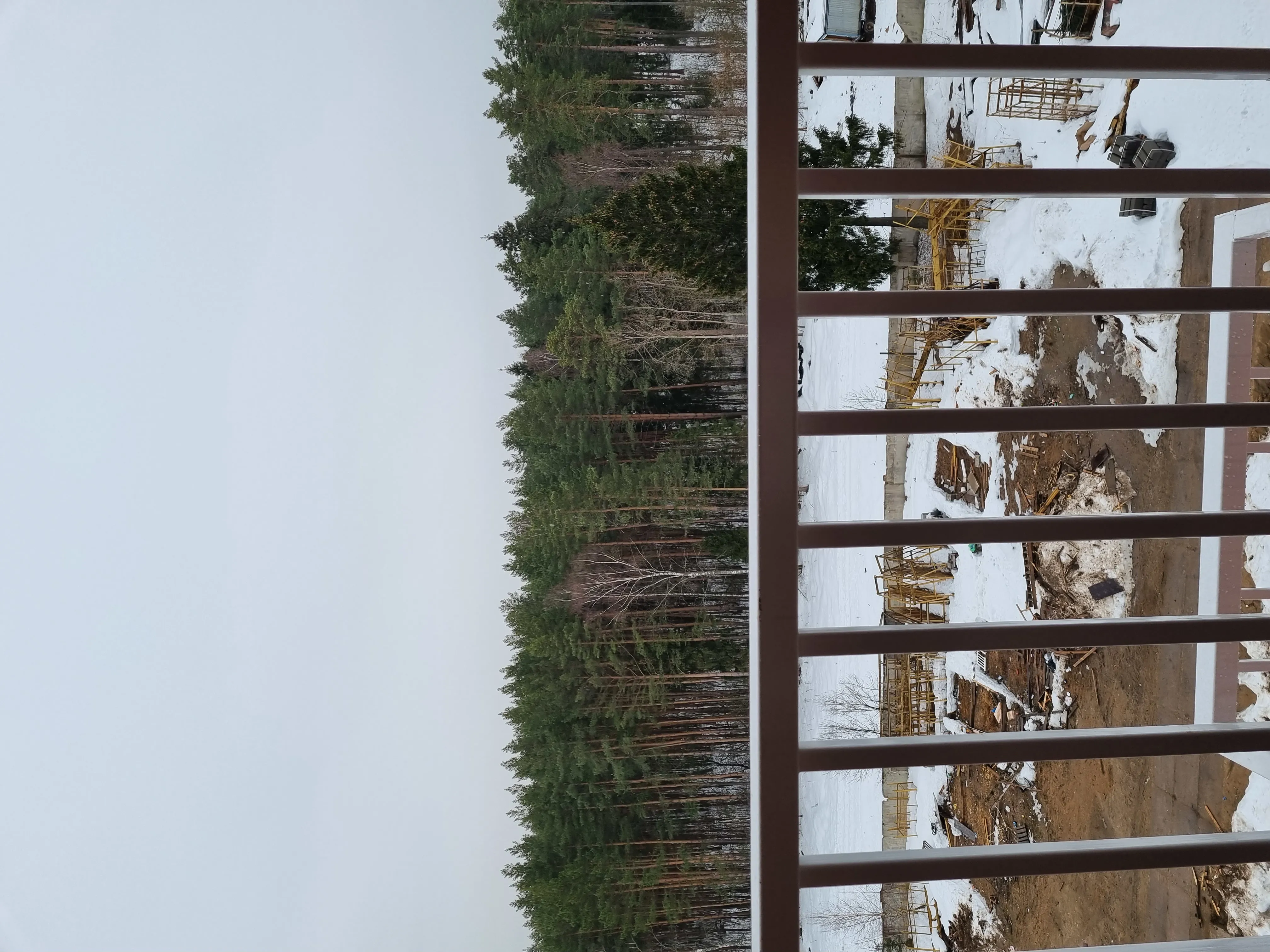 Квартира с видом на лес, фото 1