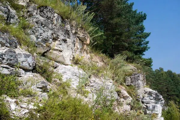 Лесная река со скалами, фото 18