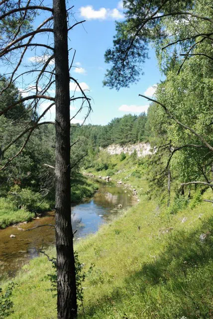 Лесная река со скалами, фото 7