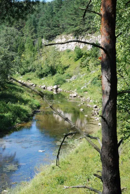 Лесная река со скалами, фото 6