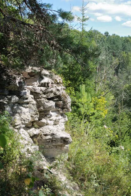 Лесная река со скалами, фото 12