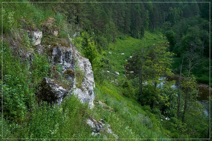 Лесная река со скалами, фото 1