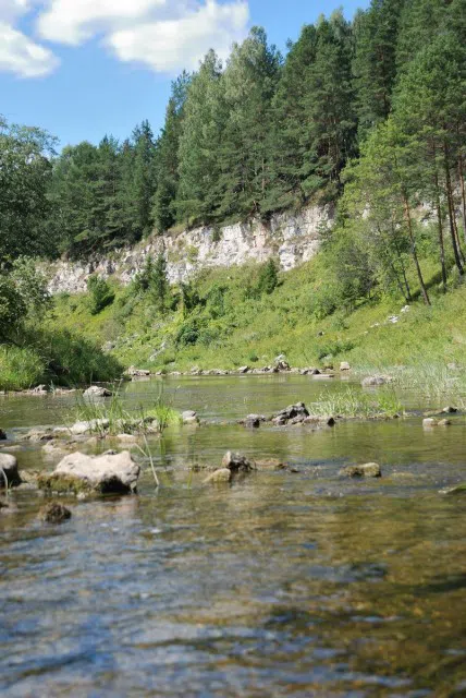Лесная река со скалами, фото 15