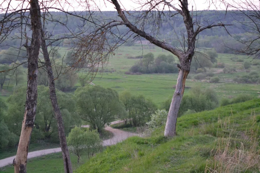 Ржавый ручей в лесу, фото 10