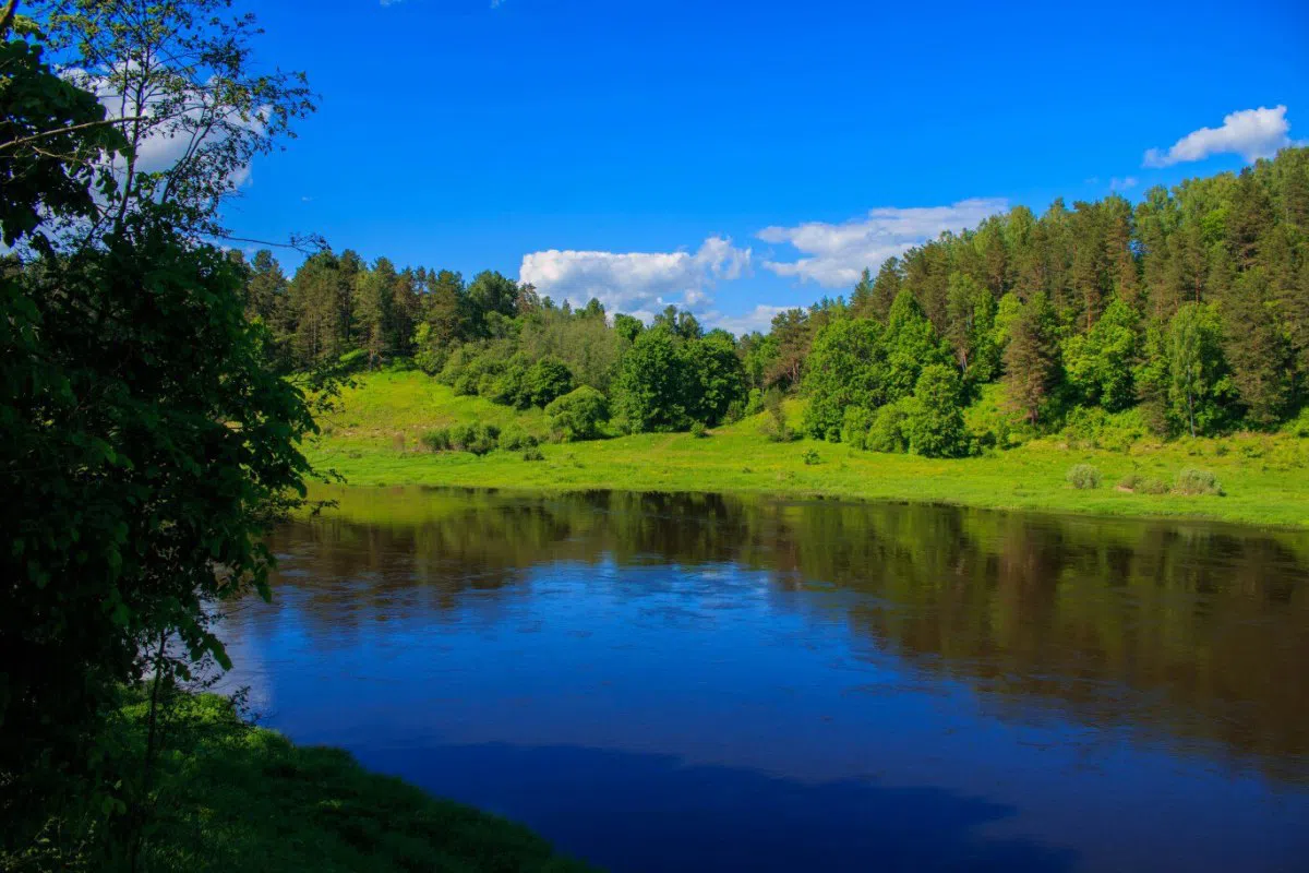 Ржавый ручей в лесу, фото 13