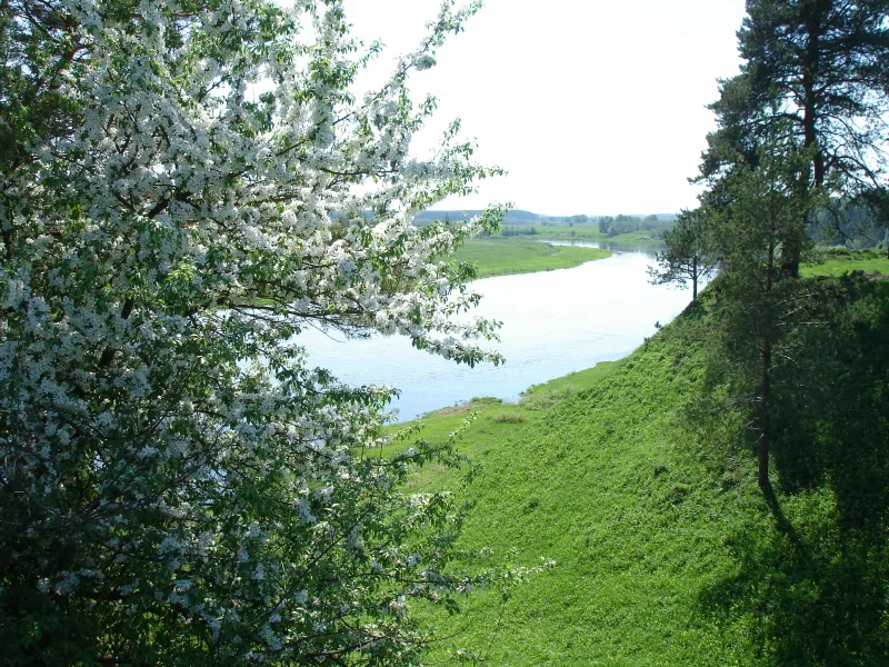 Ржавый ручей в лесу, фото 20