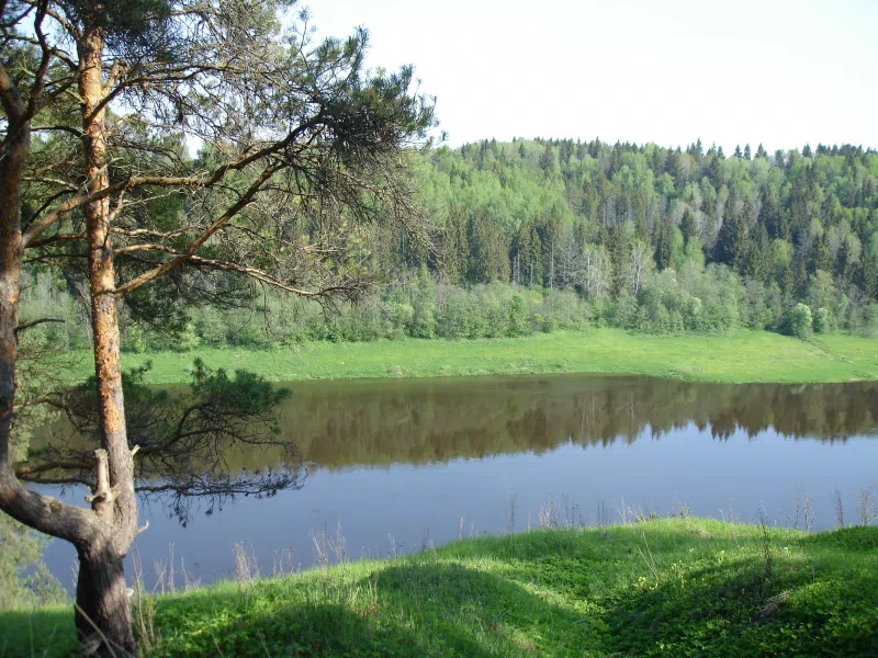 Ржавый ручей в лесу, фото 21