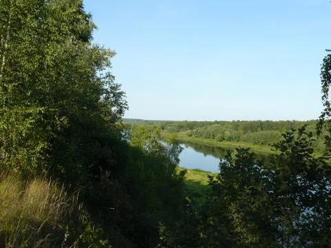 Ржавый ручей в лесу, фото 6