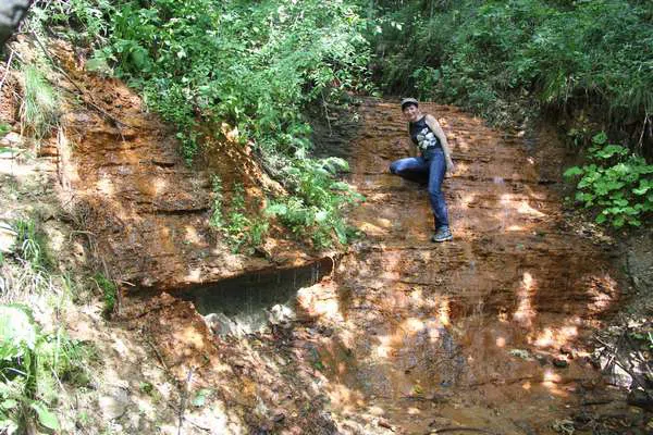 Ржавый ручей в лесу, фото 9