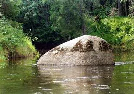 Ржавый ручей в лесу, фото 19