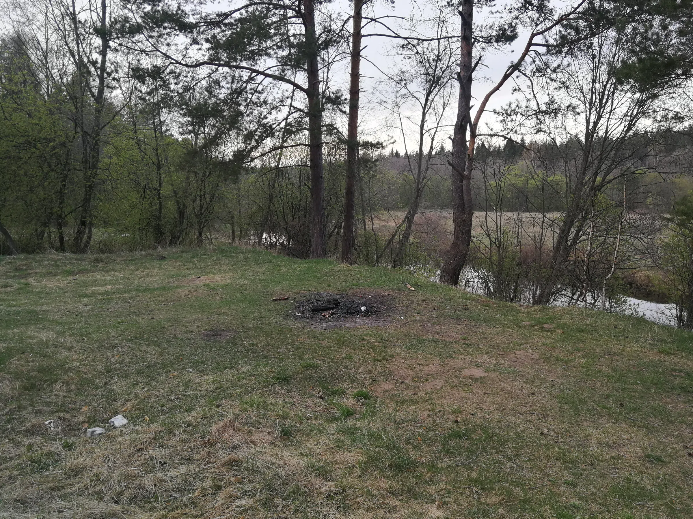 Холмистый сосновый лес, фото 9