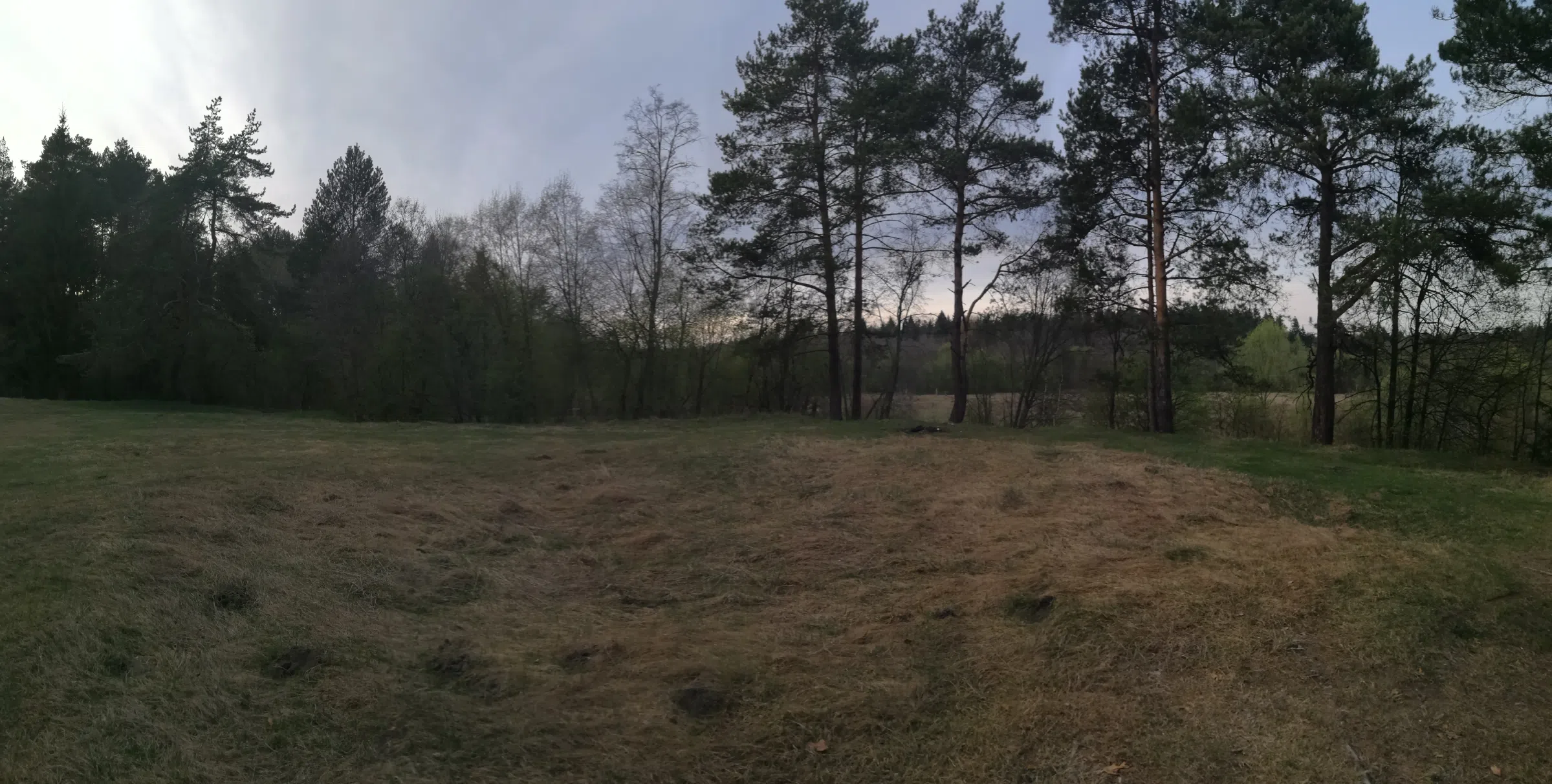 Холмистый сосновый лес, фото 1