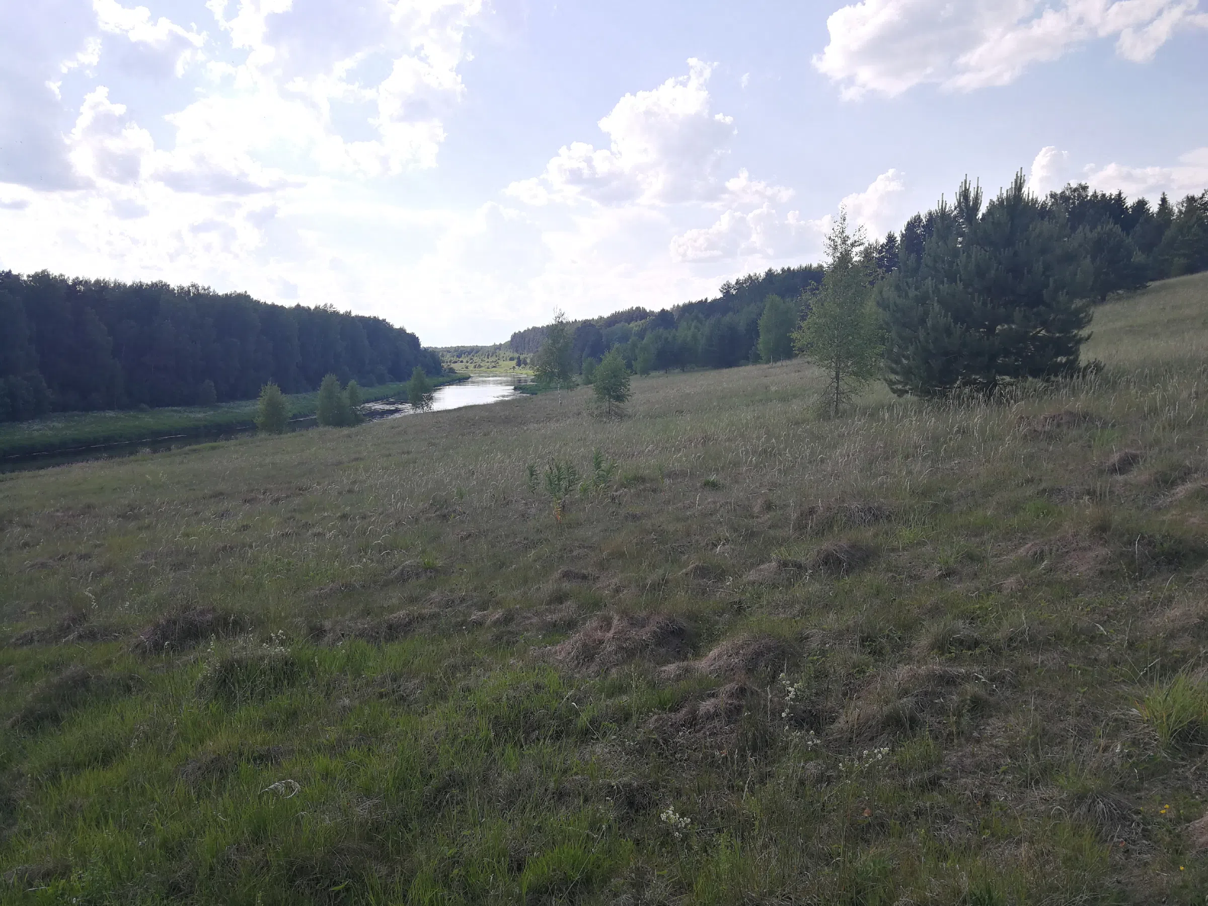 Поля с рекой у леса, фото 11