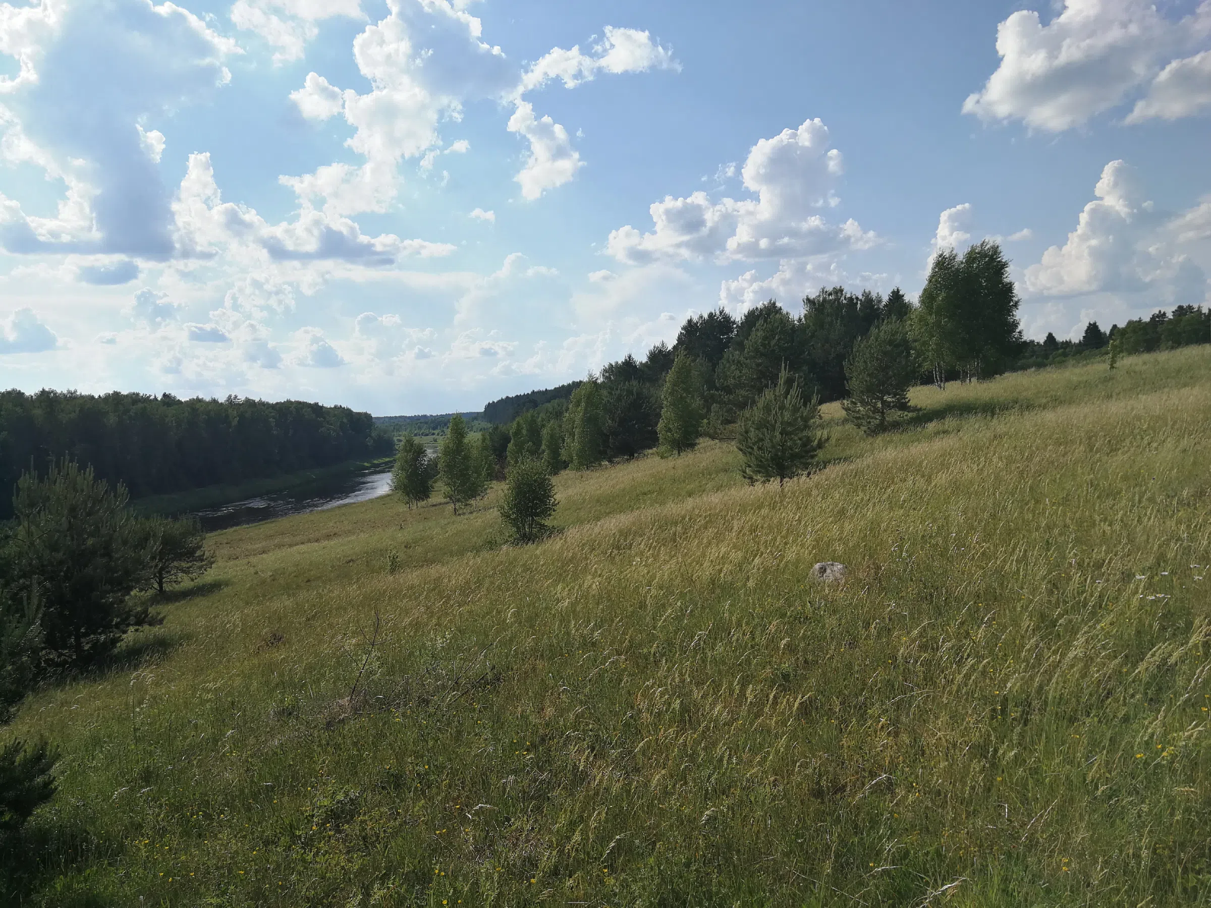 Поля с рекой у леса, фото 15
