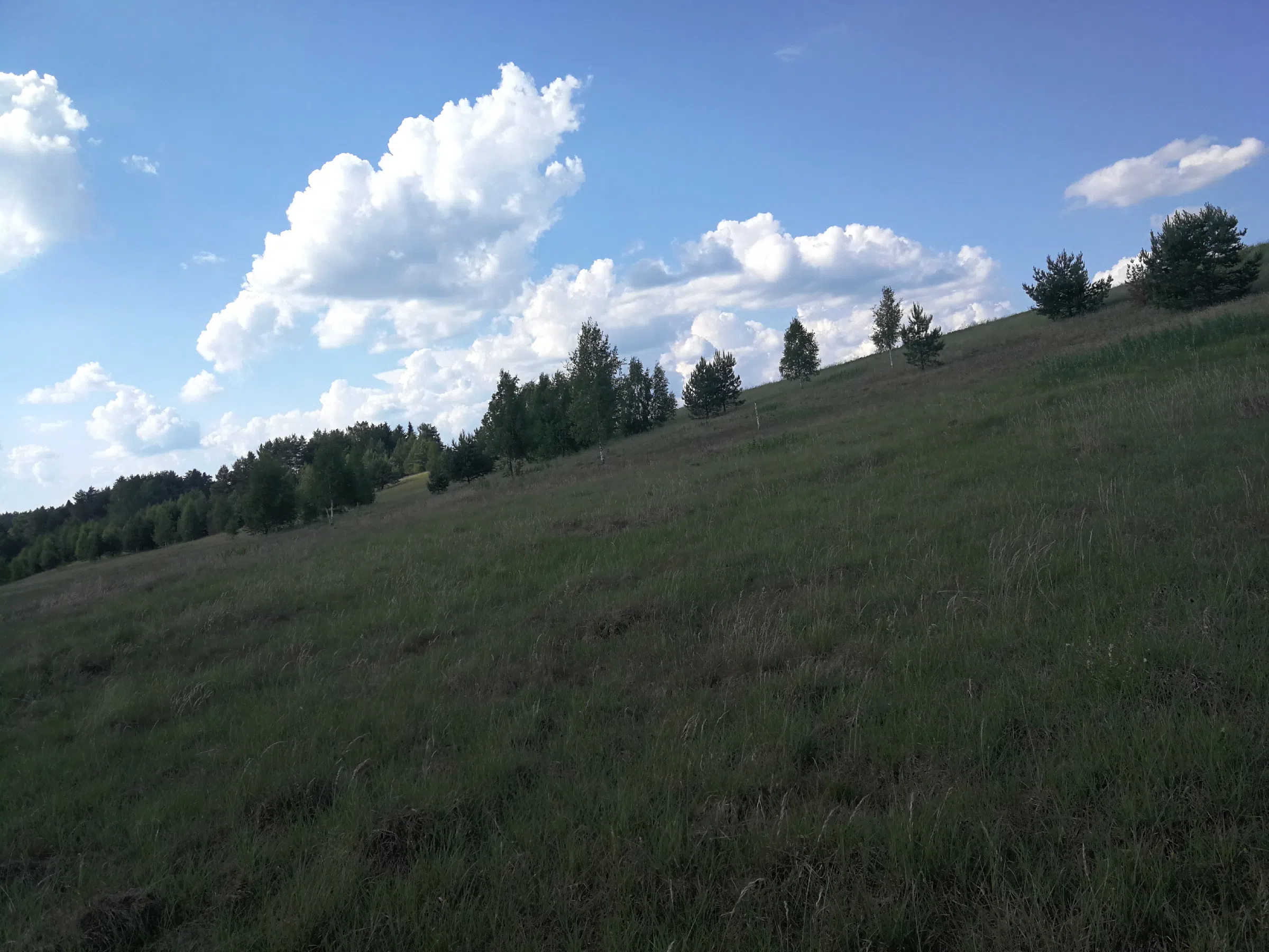 Поля с рекой у леса, фото 6