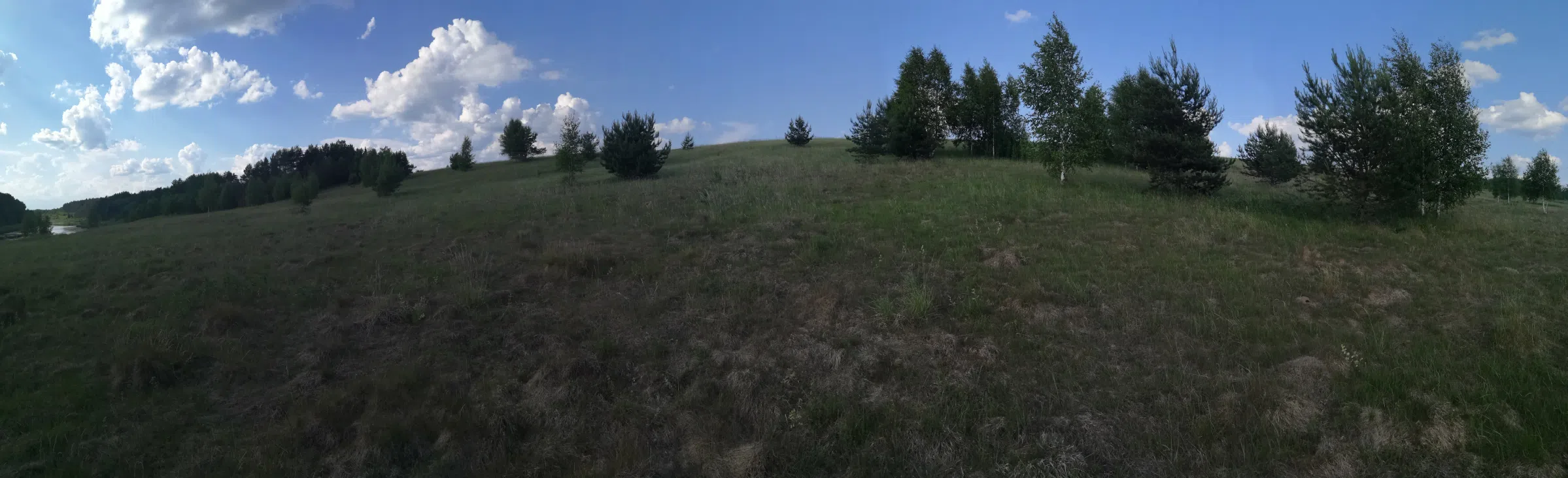 Поля с рекой у леса, фото 7
