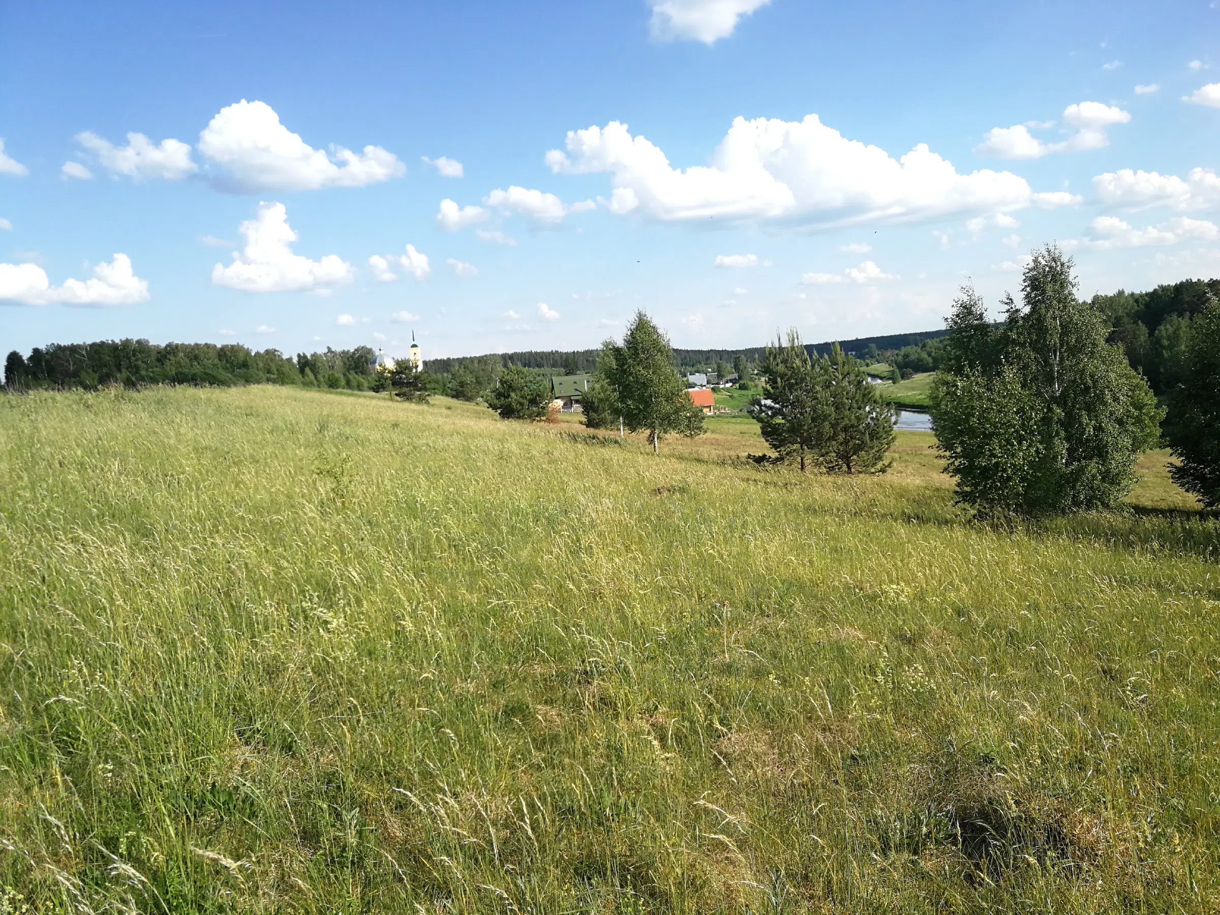 Поля с рекой у леса, фото 14