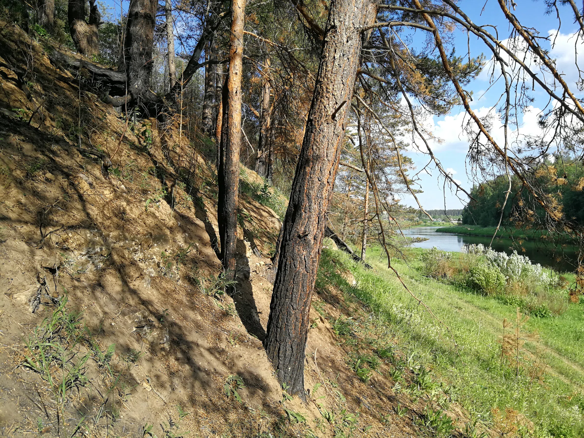 Поля с рекой у леса, фото 21