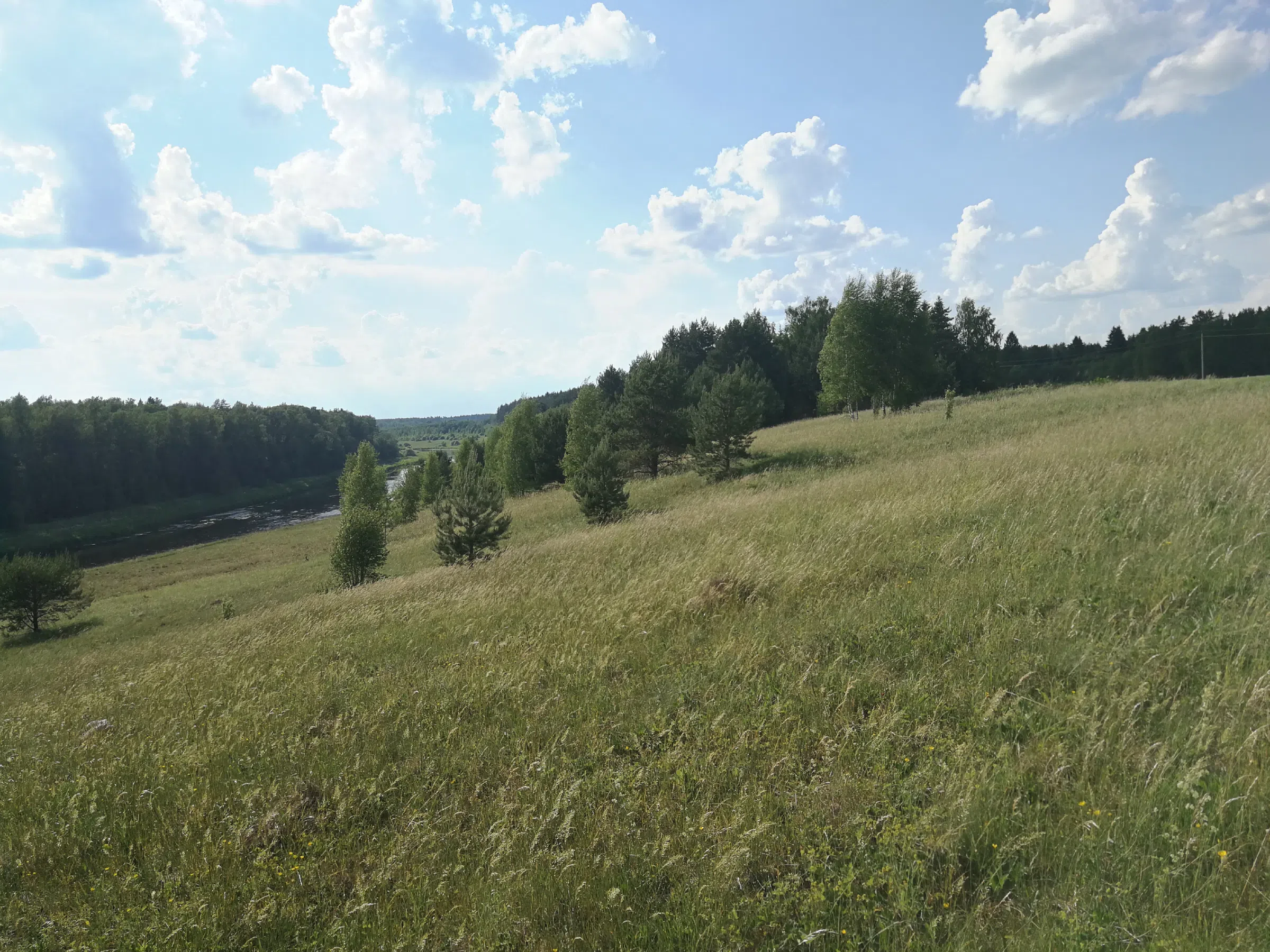 Поля с рекой у леса, фото 12
